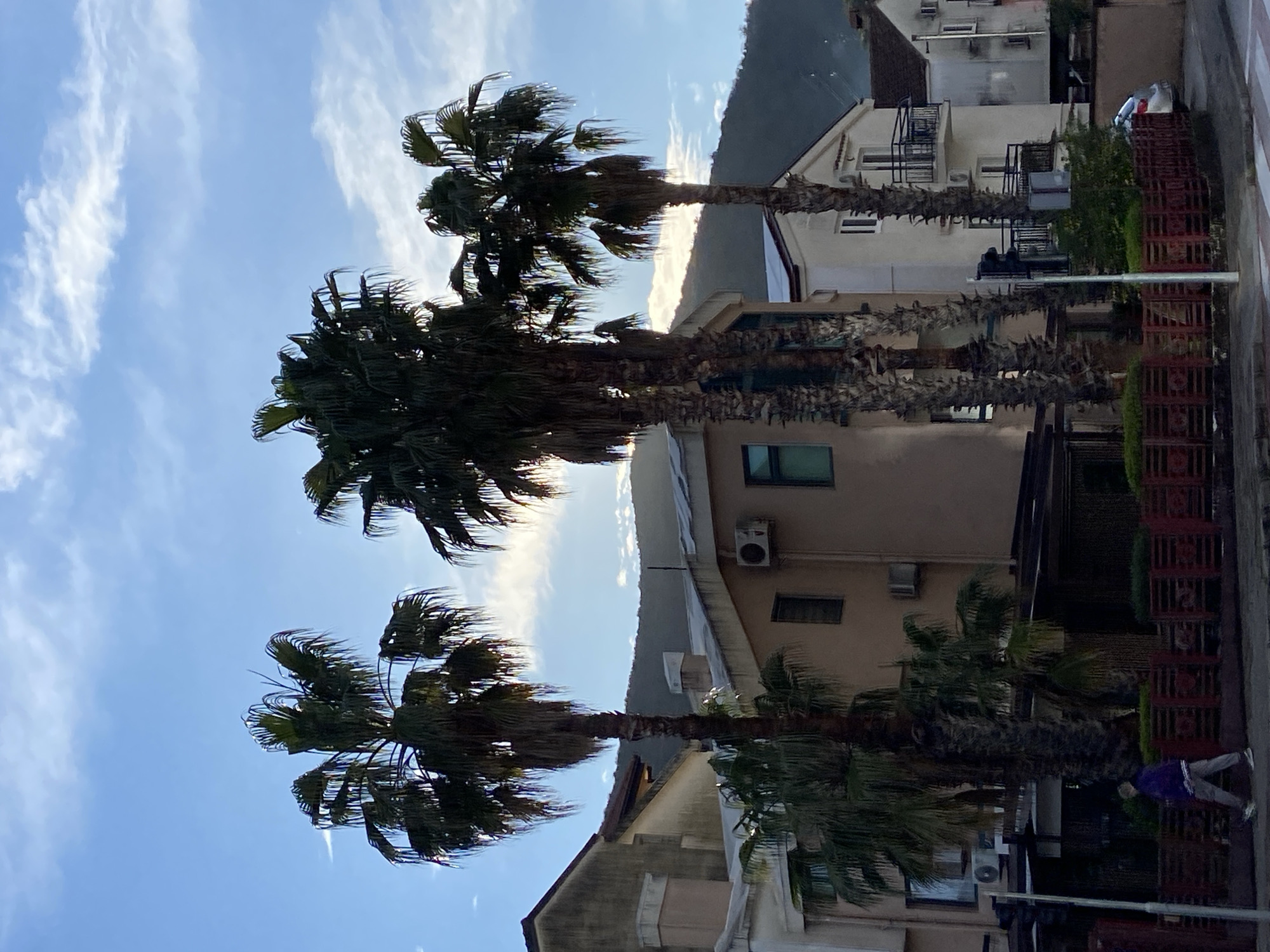 The image depicts an urban street scene in Budva, Montenegro, under a clear blue sky with scattered white clouds. The sun, positioned low and behind the buildings to the right, casts a warm glow, silhouetting some elements and illuminating others.
In the foreground, a dark grey sidewalk runs parallel to a street, a white-striped crosswalk partially visible on the right. A low, dark red slatted fence encloses a planted area featuring small green bushes and a single smaller palm tree. A tall, slender grey light pole with a black traffic signal is positioned on the left side of the sidewalk. A second, shorter white pole is adjacent to it on the right.
One individual, wearing a purple hooded sweatshirt, light grey trousers, and white sneakers, walks from left to right on the sidewalk. Their posture suggests a casual stride.
Dominating the midground are three tall, mature palm trees with dark green, full fronds, casting shadows and partially obscuring the buildings behind them. To the left, a multi-story building with a light brown facade and rectangular windows is visible. Two external air conditioning units are affixed to its exterior. Another building with a beige facade, additional windows, and air conditioning units is situated further to the right, its roofline visible against the distant hills. To the far right, a light-colored, possibly white, multi-story building features dark-framed windows and two small black metal balconies.
In the background, dark, tree-covered mountains rise under a band of bright light, suggesting the sun setting or rising behind them. A silver car is partially visible parked behind the red fence on the right side of the street.