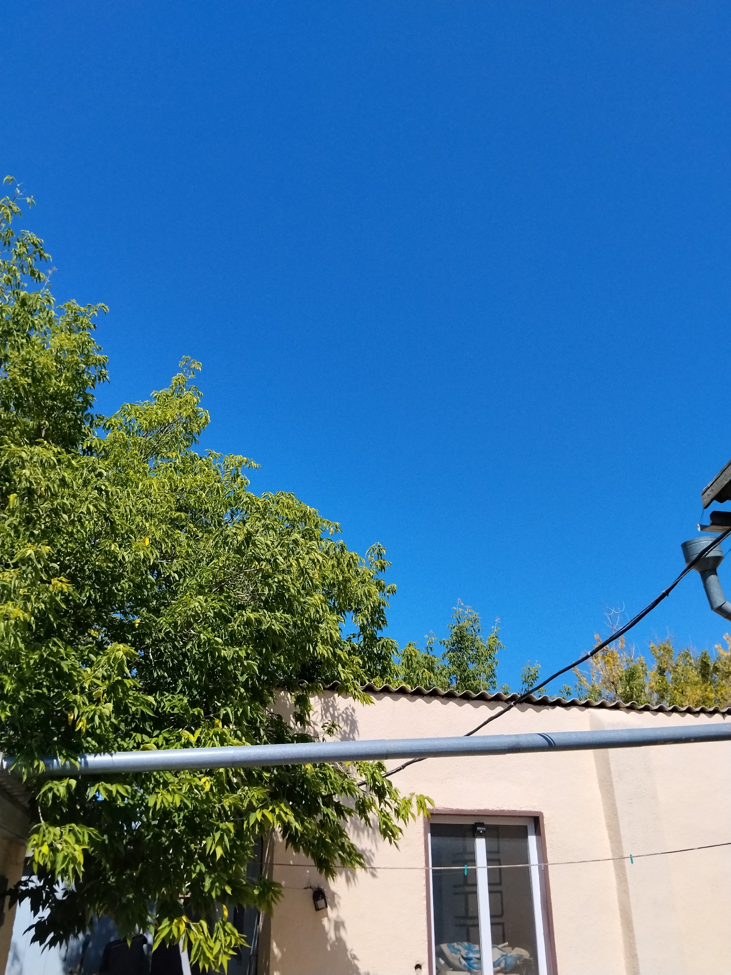 The image shows a clear blue sky above the roofline of a building. A large green tree with lush foliage is prominent on the left side of the frame, partially obscuring the building's wall and a metal pipe. The building appears to be a single-story structure with a light-colored facade and a window with white framing. A corrugated metal roof or awning is visible along the top of the building. A grey downspout extends from the roof on the right side, with electrical wires running across the scene. The overall impression is an outdoor residential setting on a sunny day. The specific location in Kokshetau, Kazakhstan, is not evident from the visual information presented.