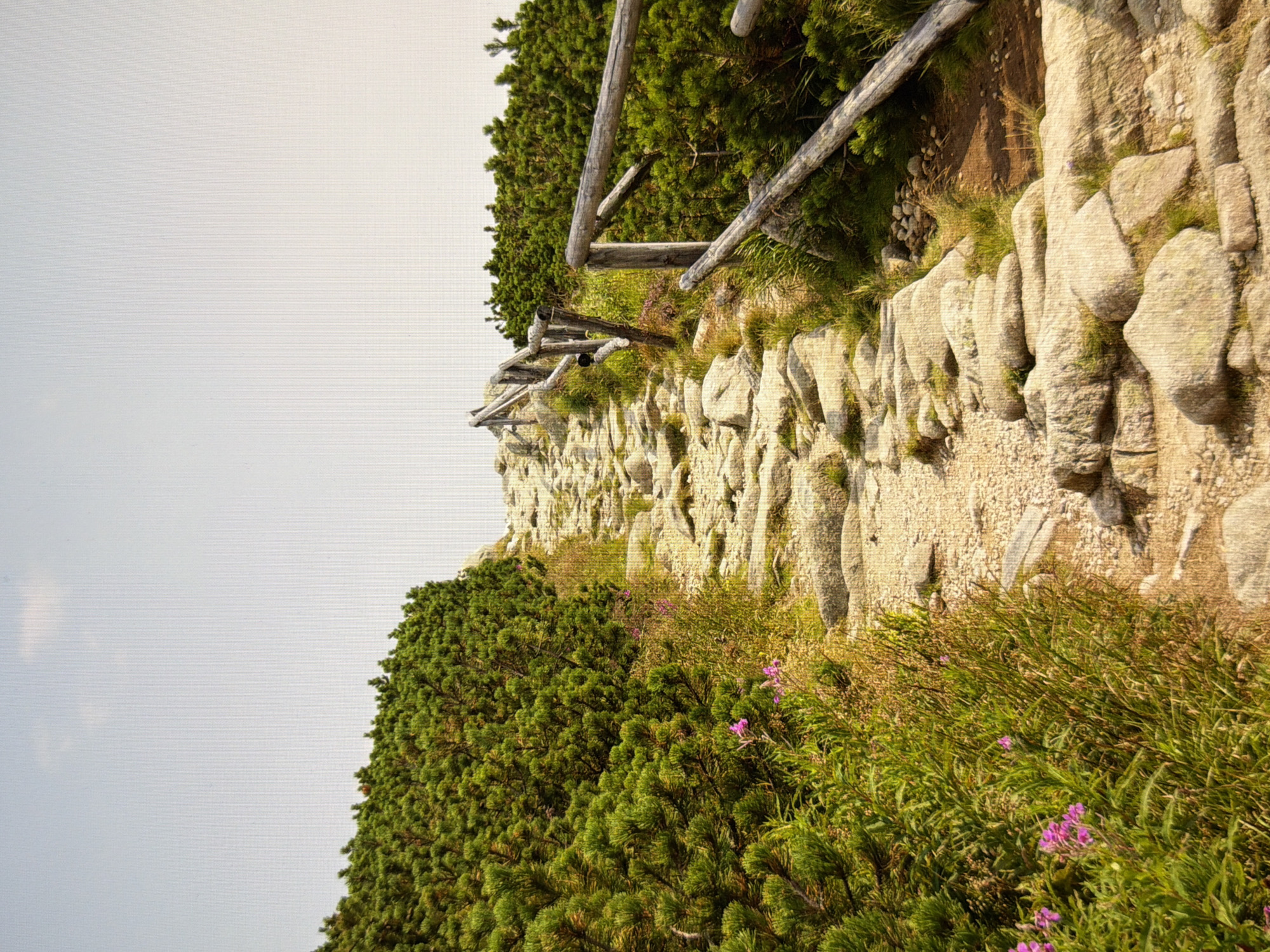 The image depicts a stone pathway winding through a mountainous landscape. Dense green bushes line the left side of the path, with a few small pink flowers interspersed in the foliage. A rustic wooden fence with weathered posts and rails runs along the right side of the path, guiding it upwards. The pathway itself is constructed from large, irregular stones, with smaller gravel filling the gaps. The sky above is a pale, hazy blue with no discernible clouds. The scene evokes a sense of a remote, natural setting, likely a hiking trail. There are no people or animals visible in the image, and no indications of urban environments or the city of Kyiv, Ukraine.