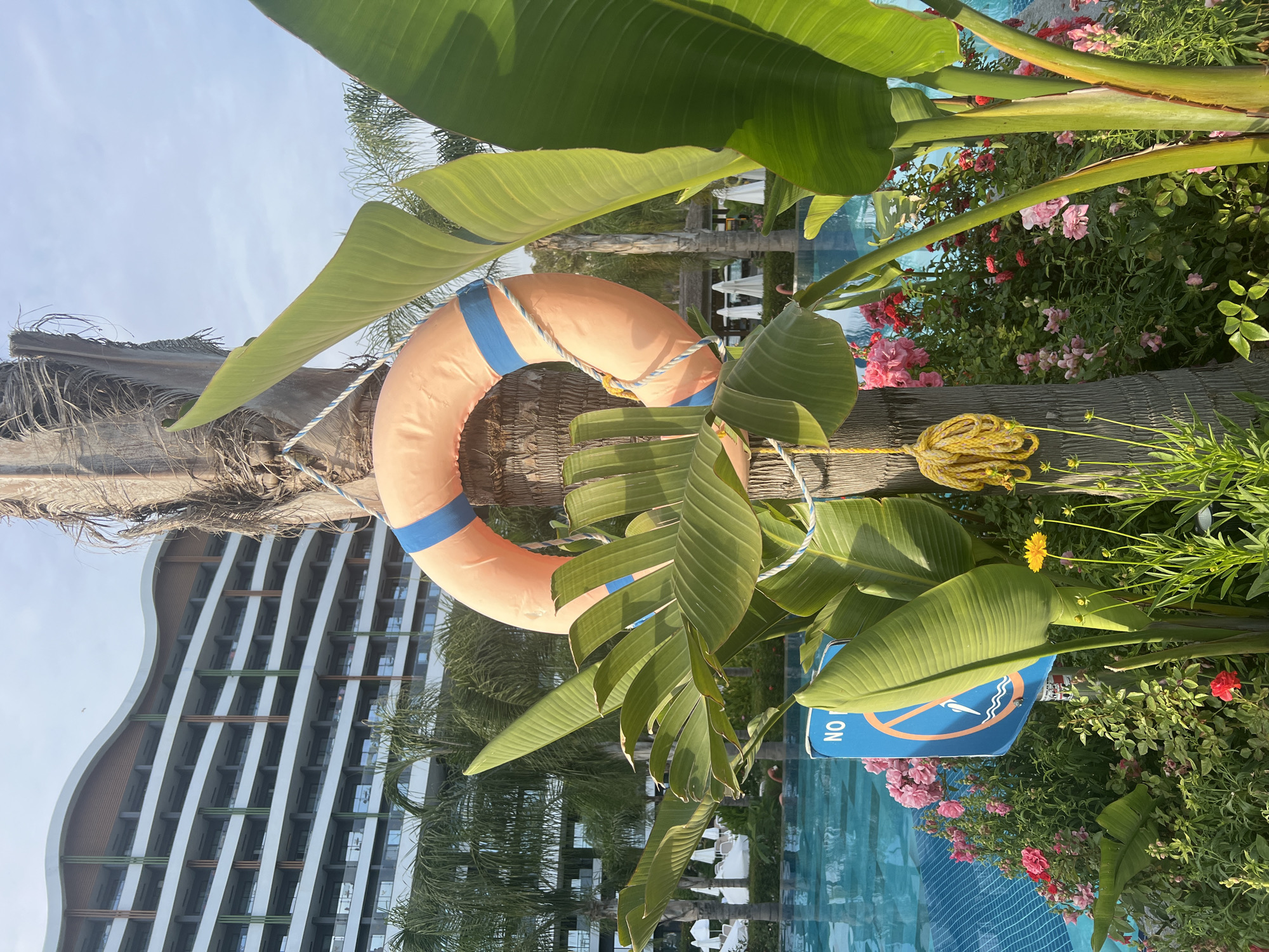 An outdoor shot captures a scene at a resort in Alanya, Turkey. In the foreground, a life preserver is tied to a palm tree, with lush green foliage and blooming pink and red flowers surrounding its base. To the left, a blue sign with a graphic of a person diving into water and the word "NO" is partially visible. Behind the vegetation and palm tree, a large, modern hotel building with multiple balconies stands tall against a bright sky. In the background, a swimming pool with blue tiles is visible, along with white umbrellas and palm trees. The overall atmosphere suggests a sunny day at a resort destination.