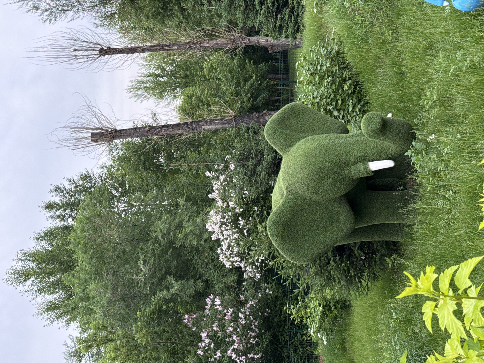 An outdoor scene in Krasnoyarsk, Russia, features a topiary sculpture of an elephant with a calf in a park. The elephant sculpture is made of green artificial turf, with white accents on the calf's ears and the adult elephant's tusks. It is situated on a grassy area with lush green grass and various shrubs and trees. In the background, several trees with bare, branch-like structures stand against a cloudy sky. The overall setting appears to be a public park or garden.