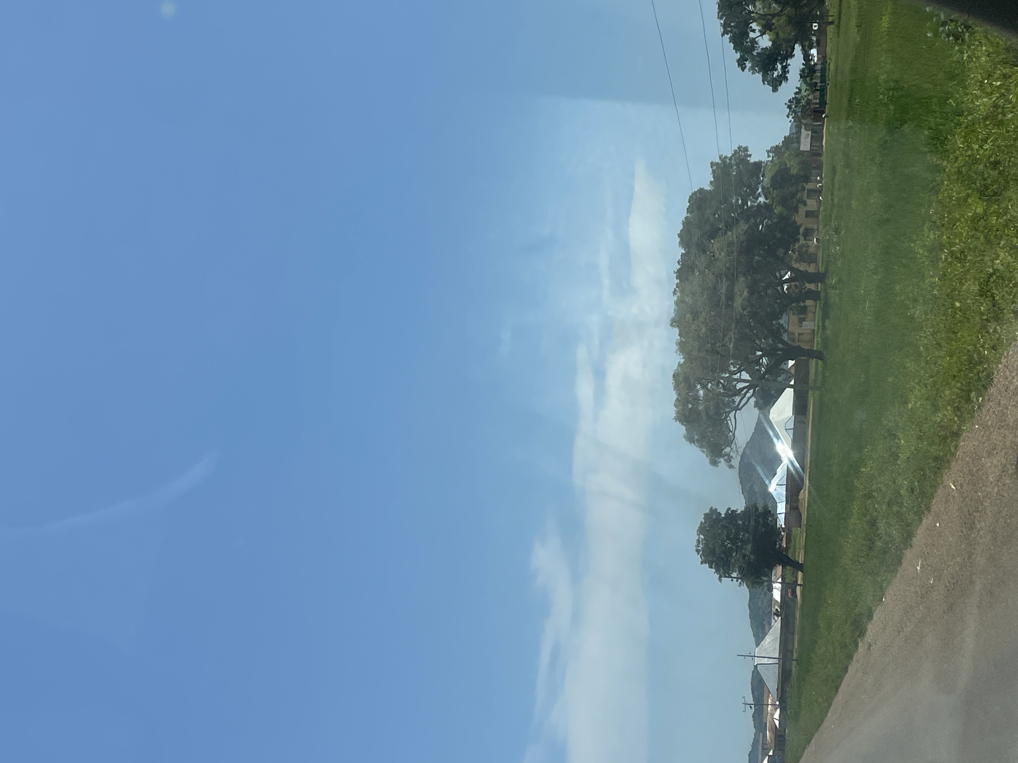 The image depicts a roadside view of a settlement under a clear blue sky with scattered clouds. In the foreground, a grey asphalt road curves to the left, bordered by a vibrant green grassy field. Beyond the field, a cluster of buildings with white, conical-shaped roofs is visible, suggesting temporary structures or shelters. Some of these structures are illuminated by bright sunlight. Several large, mature trees with dense foliage are scattered throughout the scene, with one particularly large tree dominating the center. In the background, rolling hills are visible, partially obscured by trees and haze. Power lines run across the sky, indicating the presence of infrastructure. The overall impression is of a rural or semi-rural area, possibly undergoing development or providing temporary housing. There are no visible people or animals in the image.