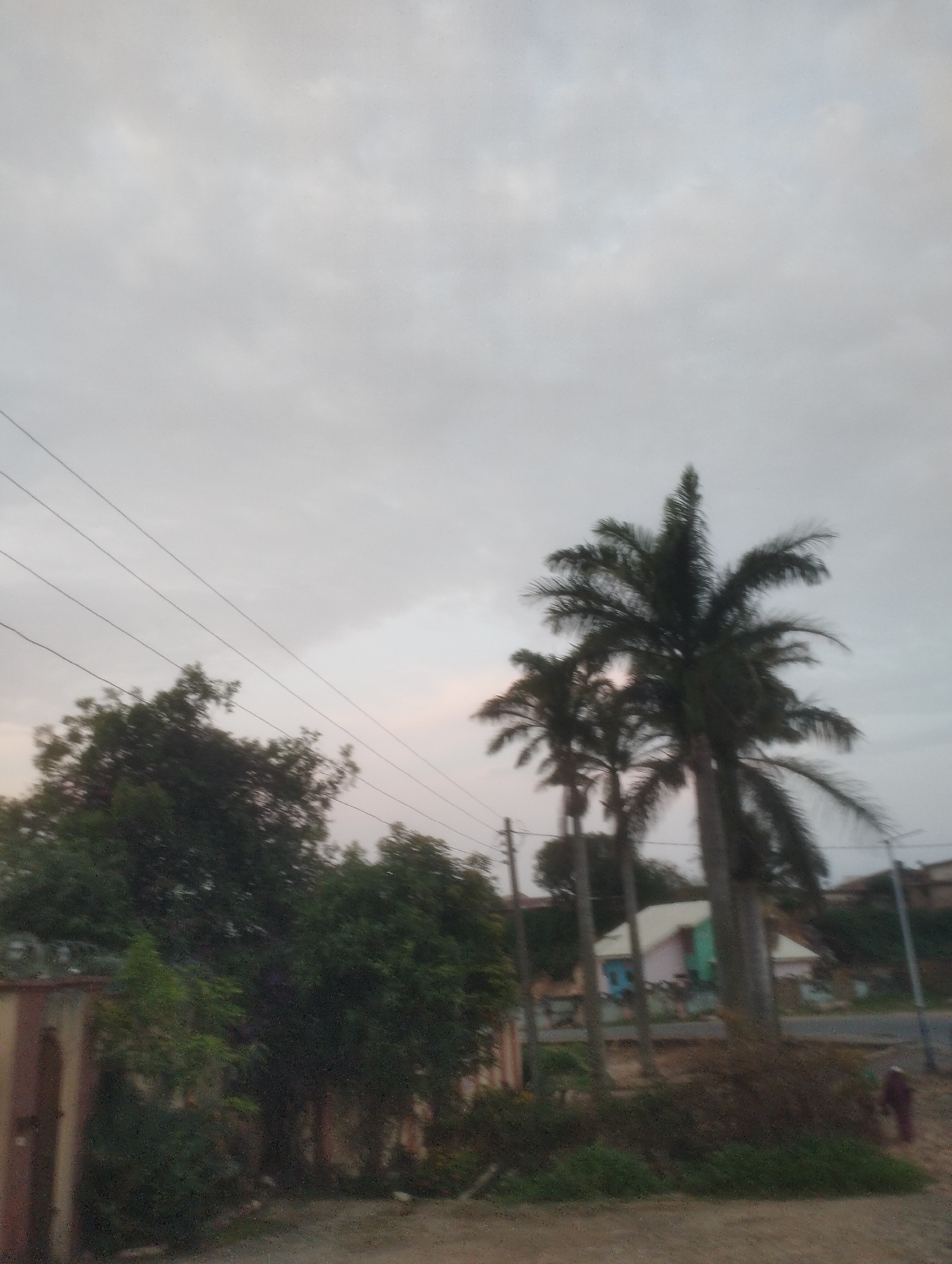 The image depicts an outdoor scene in Jos, Nigeria, under an overcast sky. In the foreground, a fence made of brown brick and adorned with barbed wire borders a property. To the right of the fence, lush green trees and shrubs dominate the landscape, obscuring much of the background. Further into the scene, several palm trees stand tall, their fronds silhouetted against the sky. Beyond the palm trees, a colorful house with a pink roof and blue and green walls is visible. A dirt road runs in front of the house, and a solitary person in dark clothing walks away from the viewer on the right side of the road. Power lines are strung across the upper portion of the image, adding to the urban feel of the environment. The overall impression is one of a residential area in Jos, Nigeria, characterized by vegetation and typical infrastructure.