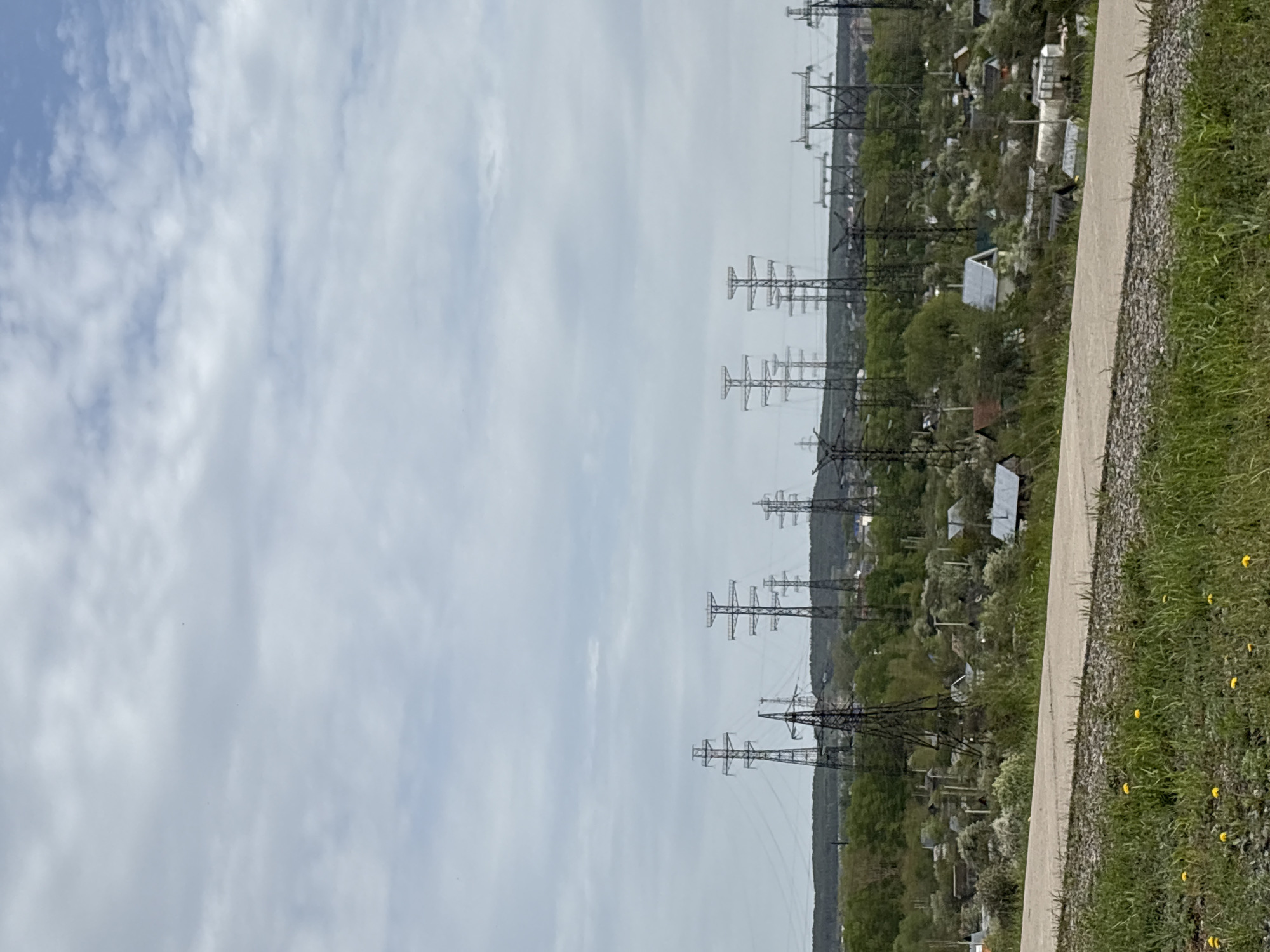 The image shows a view of the city of Chaikovsky, Russia, with a line of electrical pylons stretching into the distance. A concrete path or walkway runs along the right edge of the frame, bordered by grass and vegetation. Beyond the pylons, the landscape is filled with trees and scattered buildings, typical of a residential or suburban area. The sky is overcast with a mix of white and gray clouds.