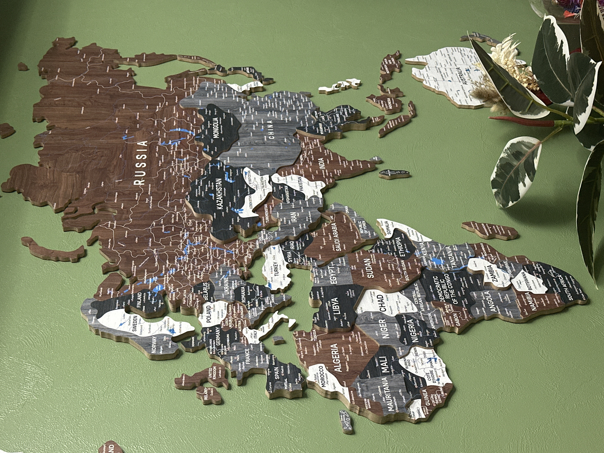 A close-up shot depicts a jigsaw puzzle map of the world placed on a green surface. The puzzle pieces form the continents, with country names printed on them. The color of the pieces varies. The Russia puzzle piece is brown, and the word "RUSSIA" is printed in white. Nearby countries like Mongolia and Kazakhstan are colored in black and gray. The pieces are not perfectly fitted together, with gaps between them. Part of a potted plant with large, variegated green and white leaves is on the right side of the frame. The location of Novosibirsk, Russia, is not clearly indicated on the map.