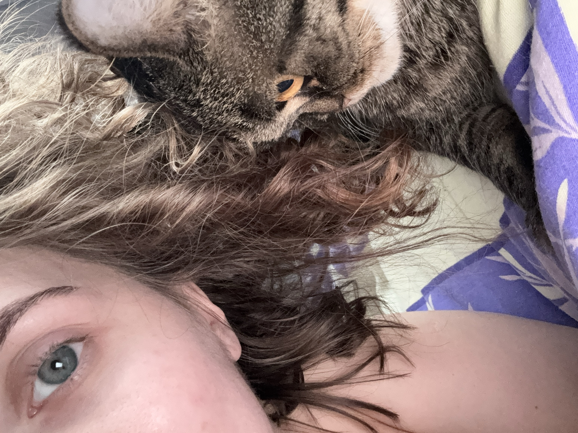 A close-up, slightly distorted perspective photograph shows a woman and a cat lying on a bed or similar soft surface, possibly in an interior setting. The woman is visible from the forehead down to the chest, and her face is positioned in the lower left of the frame, with a clear view of her left eye, which is a light blue or grey color. Her hair is a mix of blonde and brown shades and is scattered across the surface beneath her head.
The cat is positioned above her, with a portion of its face visible in the upper center of the image. The cat has striped fur, a brown nose, and one partially visible yellow-orange eye. Part of the cat's body extends along the right edge of the frame.
A blue and white patterned fabric is visible in the upper right corner. The image appears to be taken from a top-down angle, possibly with a handheld device or phone camera. The location in Perm, Russia, is not discernible from the visual information.