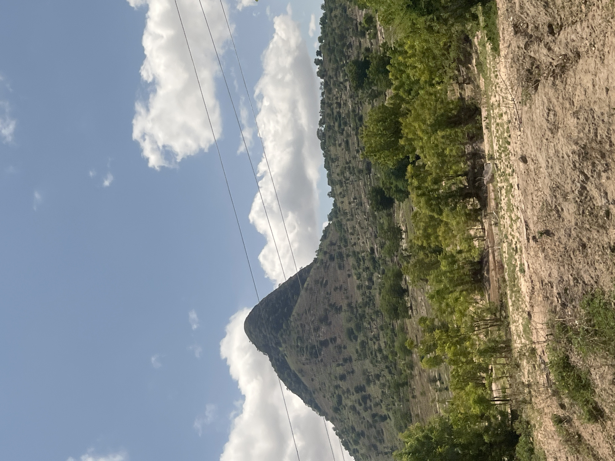 This vertical-format image captures a daytime natural landscape in Balanga, Nigeria. A prominent, cone-shaped hill, covered in sparse green foliage and scattered trees, dominates the left-center of the frame. To its right, rolling hills with similar vegetation extend into the mid-ground. The upper section displays a clear blue sky with scattered white cumulus clouds. Multiple black power lines stretch horizontally across the upper mid-ground, passing in front of both the sky and the upper parts of the hills. The foreground is composed of dry, light brown, uneven terrain with patches of green ground cover and small bushes. A cluster of trees with vibrant green leaves is visible in the lower mid-ground. No individuals, animals, or significant human activity are discernible within the scene.