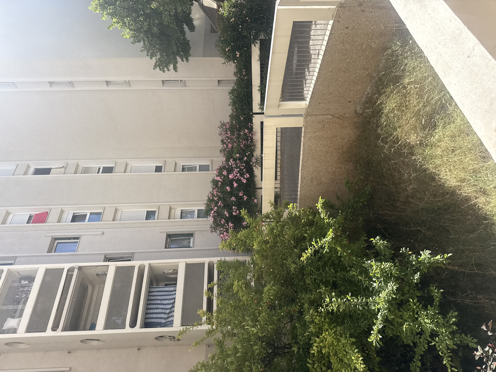 The image depicts a view of apartment buildings from a lower vantage point, possibly a courtyard or ground level. In the foreground, a dense green bush with some red berries is visible. Behind the bush, a low concrete wall separates a grassy area from a paved pathway. This pathway is bordered by a cream-colored railing with metal bars.
The apartment buildings are light-colored, with multiple floors and rows of windows. Some windows have closed white shutters, while others are open. One building has balconies with white railings and mesh screens. A red cloth hangs from a window on one of the buildings. In the background, there is lush green foliage from trees, partially obscuring the right side of the buildings. The scene appears to be outdoors in daylight, with strong sunlight casting shadows. There are no people visible in the image.