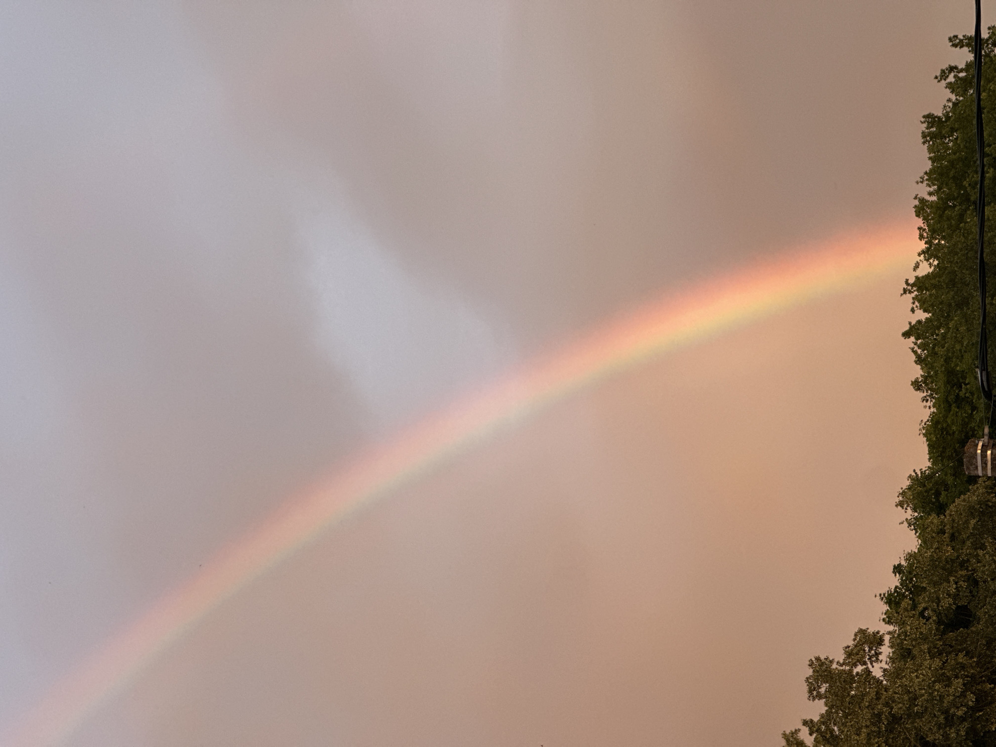 The image displays a partial rainbow arching across a cloudy, light-colored sky. The rainbow exhibits a spectrum of colors, predominantly pink, orange, yellow, and green. Below the sky, a line of dark green trees forms the lower edge of the frame, with hints of what appear to be rooftops and possibly a utility pole visible through the foliage. The overall lighting suggests either dawn or dusk, with a muted, warm tone to the sky. The scene appears to be an outdoor view in Nizhny Novgorod, Russia, possibly from a residential area or a park overlooking the city. There are no people or distinct actions depicted.