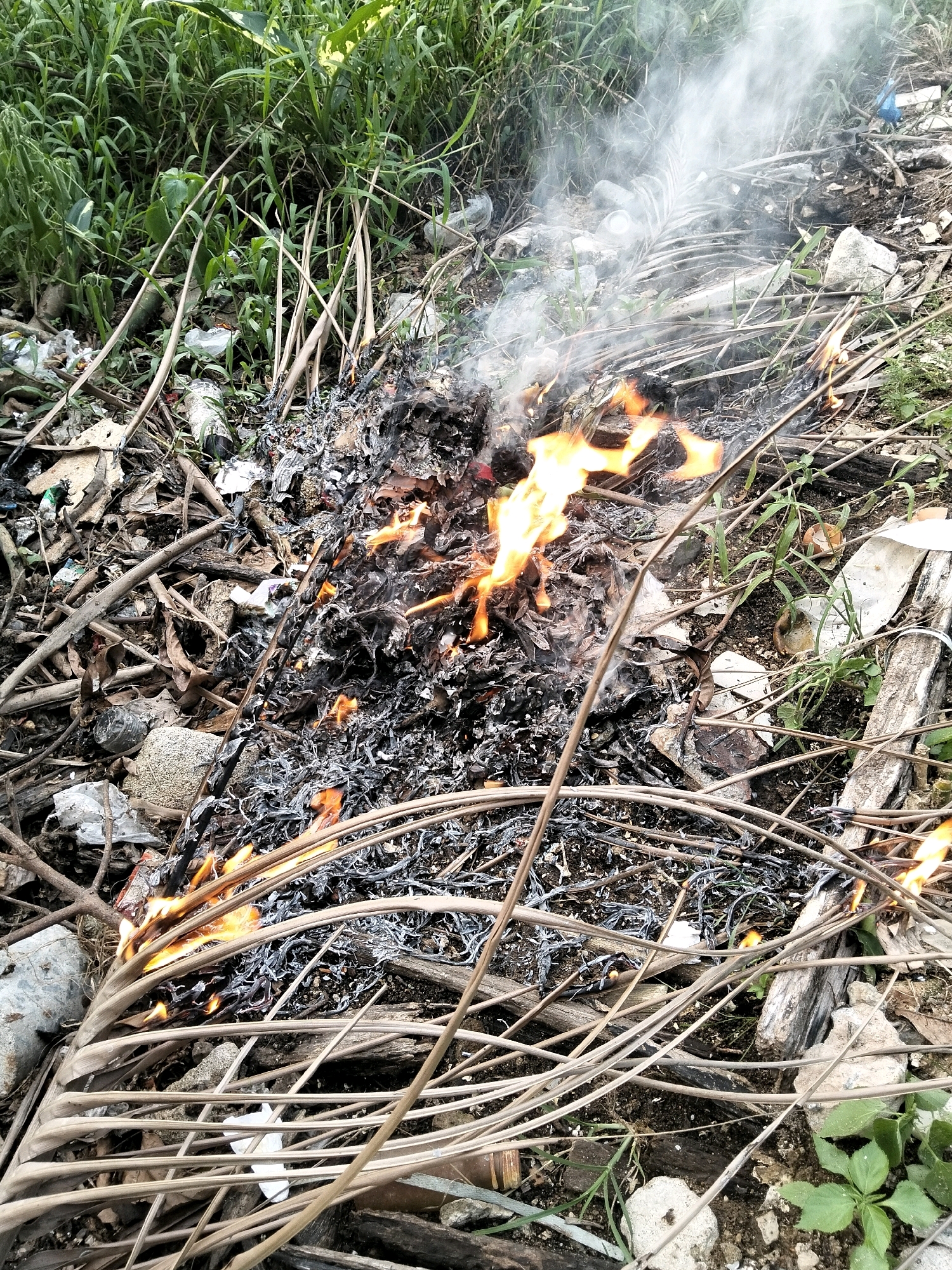 An outdoor scene depicts a small, smoldering fire burning amidst dry vegetation, debris, and a patch of tall green grass in Teluk Kapuas, Indonesia. The fire is composed of various burnt materials, including leaves, twigs, and what appears to be shredded plastic, with visible flames and rising smoke. Scattered around the fire are rocks, pieces of wood, and remnants of what looks like litter. The surrounding environment is overgrown with lush green grass and some dead palm fronds. The ground is a mixture of soil and debris. There are no people or animals visible in the image.