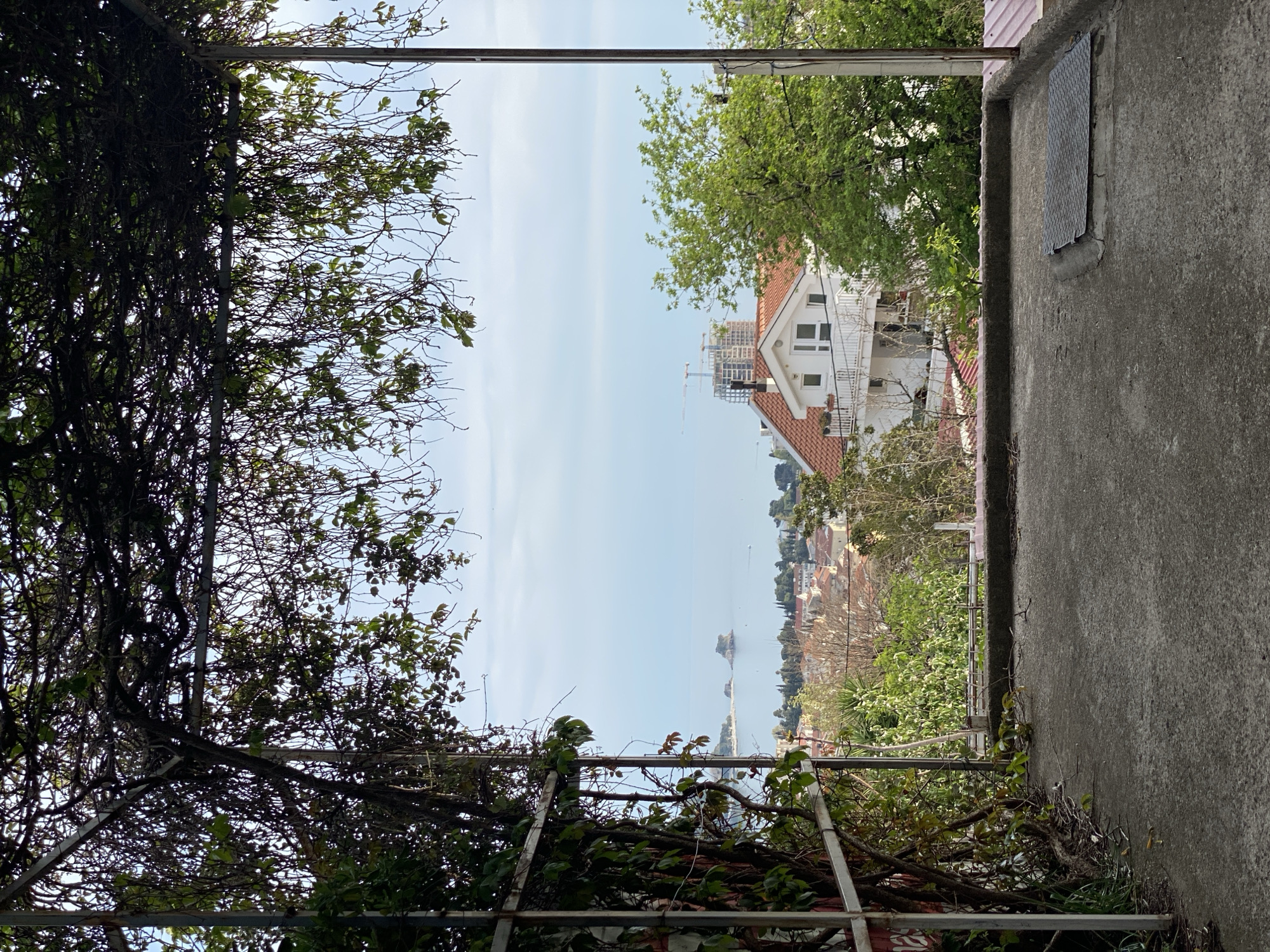 The image shows a view from a concrete structure in Budva, Montenegro, likely a balcony or rooftop. The perspective is framed by overgrown vegetation on the left, covering a metal trellis. On the right, the view is bordered by a concrete wall with a metal grate. The central view opens to a cityscape and the Adriatic Sea under a light blue sky. A white building with a red tile roof is prominent in the middle ground, positioned on a hill. Below that, the tiled roofs of buildings and lush greenery characterize the urban landscape. In the distance, the sea horizon is visible. The focus is sharp on the cityscape and sea, while the foreground elements are slightly out of focus, creating depth.