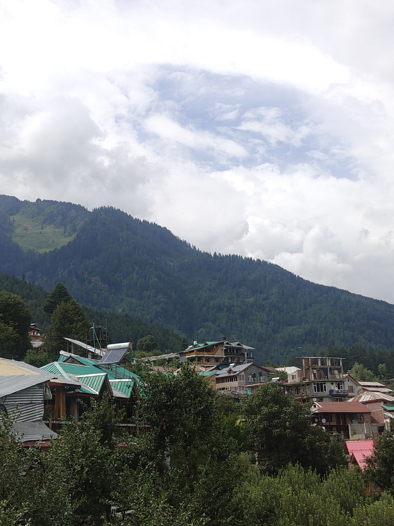 This is a medium-shot, eye-level, exterior, daytime photograph capturing a hillside village in Manali, India. The scene is dominated by a lush, dark green, forested mountain that rises steeply into a cloudy, overcast sky. The foliage on the mountain appears dense, with a scattering of lighter green patches indicating clearer areas or different vegetation. The lower slopes of the mountain transition into a collection of buildings, characterized by a mix of architectural styles. Many structures feature prominent green, corrugated metal roofs, common in the region. Some buildings have multiple stories, with visible balconies and windows. One building prominently displays solar panels and a water tank on its roof. The foreground is filled with the dense canopy of green trees, partially obscuring the lower portions of the buildings and the base of the mountain. The lighting is diffused due to the overcast conditions, resulting in soft shadows and a muted color palette. There are no people visible in the frame.