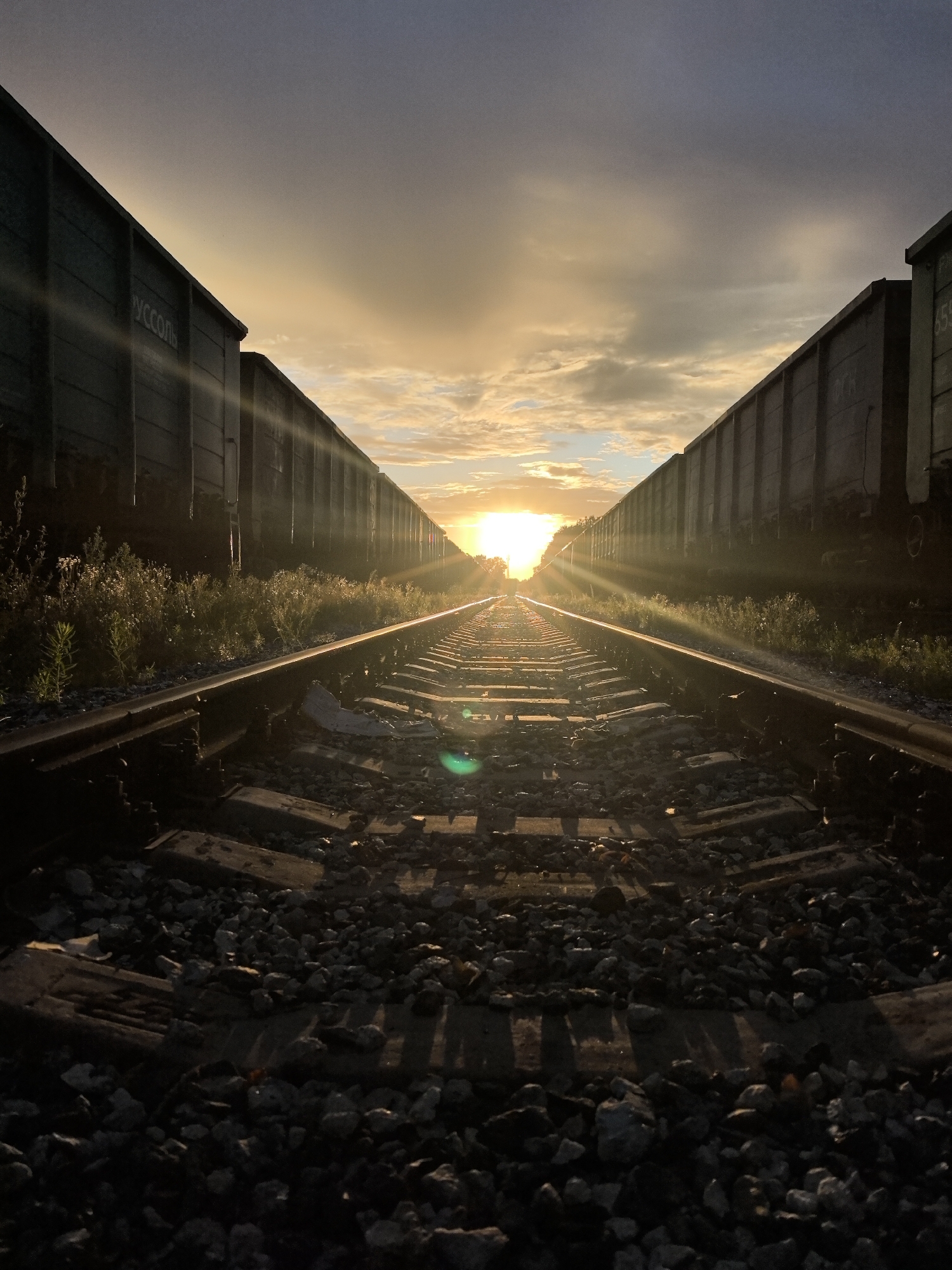 A low-angle, eye-level, vertical shot captures a set of railroad tracks stretching towards a setting sun. The tracks are flanked by long, dark freight train cars on both sides, creating a symmetrical vanishing point. The sun, partially obscured by clouds and rays of light, is positioned in the center of the frame, casting a warm glow over the scene. The ground is covered in gravel and ballast, with some vegetation growing along the sides of the tracks. The sky is a mix of dark clouds and lighter, sunlit areas. The overall impression is one of dramatic natural light and the starkness of industrial infrastructure. The freight cars have Cyrillic lettering visible on them, one reading "РУССОЛЬ" (RUSSOL) and another containing the number "555." Based on the "РУССОЛЬ" labeling, this location is likely near a salt-producing facility, and considering the geography and common freight routes in the region, it could be within or near the industrial zone of Chaikovsky, Russia, which has significant salt production. No people are visible in the image.
