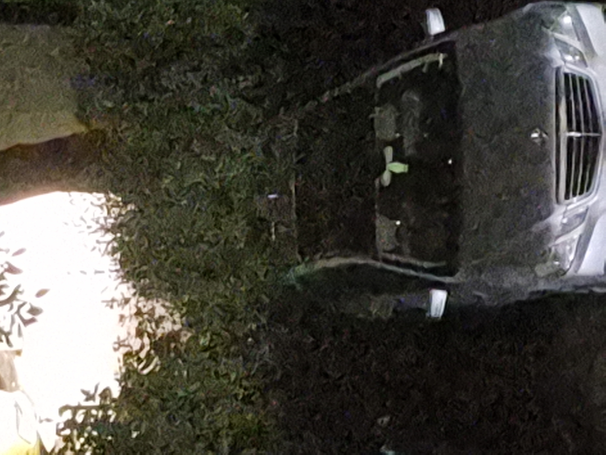 The image depicts a car parked outdoors, possibly in a residential area or parking lot, with dense foliage in the background. The car appears to be a silver Mercedes-Benz sedan. The foliage consists of dark green, leafy bushes and trees. The lighting suggests it could be evening or early morning, with some artificial light sources visible in the upper part of the image. There are no people visible in the scene. The location is identified as Pernik, Bulgaria.