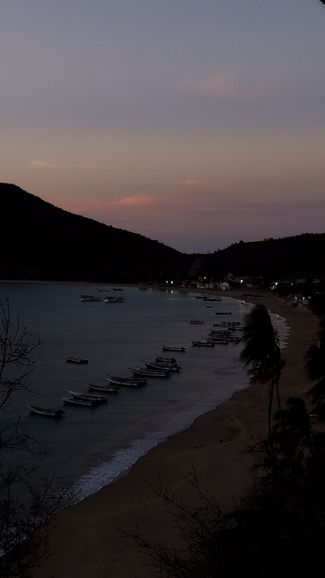 This media file presents a serene twilight scene of a coastal bay, likely captured at dusk or early evening in Juan Griego, Venezuela.
The sky exhibits a gradient of colors, transitioning from a deep purplish-blue overhead to softer pink and orange hues closer to the horizon, indicative of the fading sunlight. Dark, silhouetted hills or mountains frame the bay on both sides, creating a dramatic backdrop against the colorful sky.
The calm waters of the bay gently reflect the diminishing light, with a thin line of white surf breaking on the sandy beach that curves around the shore. Numerous small fishing boats, identifiable as pangas or lanchas, are moored across the bay. A significant cluster of these boats is visible closer to the shoreline on the right, while others are spread further out in the water.
Along the distant shoreline, faint lights from small buildings or structures are illuminated, suggesting a small coastal settlement. The foreground features dark silhouettes of sparse, thorny bushes and branches, with a prominent palm tree visible on the right, its fronds appearing to sway slightly.
The scene conveys a sense of tranquility and the peaceful transition from day to night in a coastal community. No specific human activity or individuals are clearly visible, and there is no discernible text in the image.