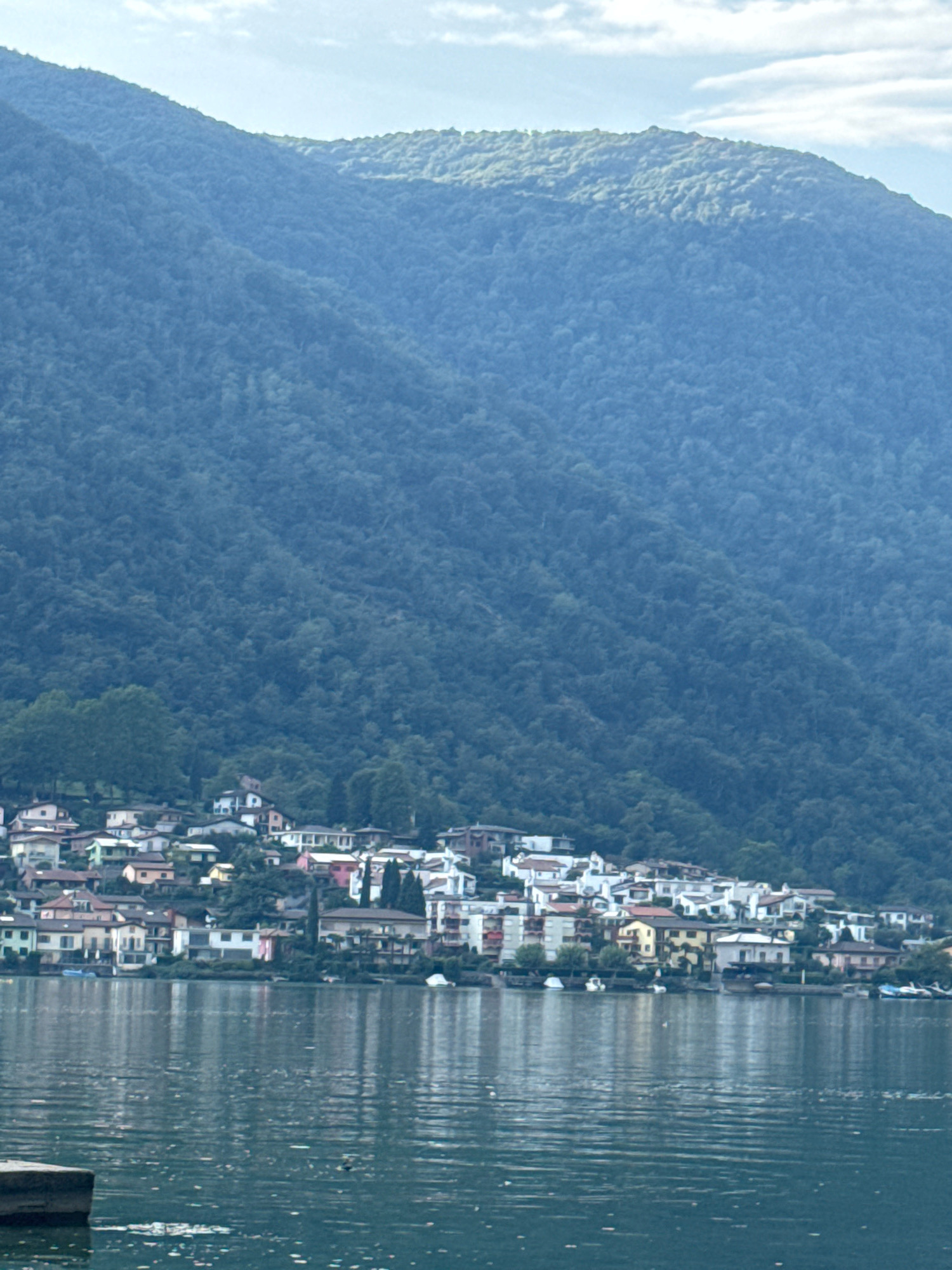 The image captures a picturesque scene of the lakefront town of Mendrisio, Switzerland. The foreground features the calm, reflective waters of a lake, with a small concrete structure visible in the lower left corner. In the mid-ground, a vibrant collection of buildings, ranging in color from white and beige to yellow and pink, are nestled along the shore and ascend the gentle slope of the mountain. These structures appear to be residential and commercial, with balconies and varied rooflines. Several boats are docked along the waterfront. The background is dominated by a lush, densely forested mountain that rises majestically behind the town. The sky above is a soft blue, with wispy clouds hinting at a pleasant day. The overall impression is one of a serene and beautiful lakeside village.