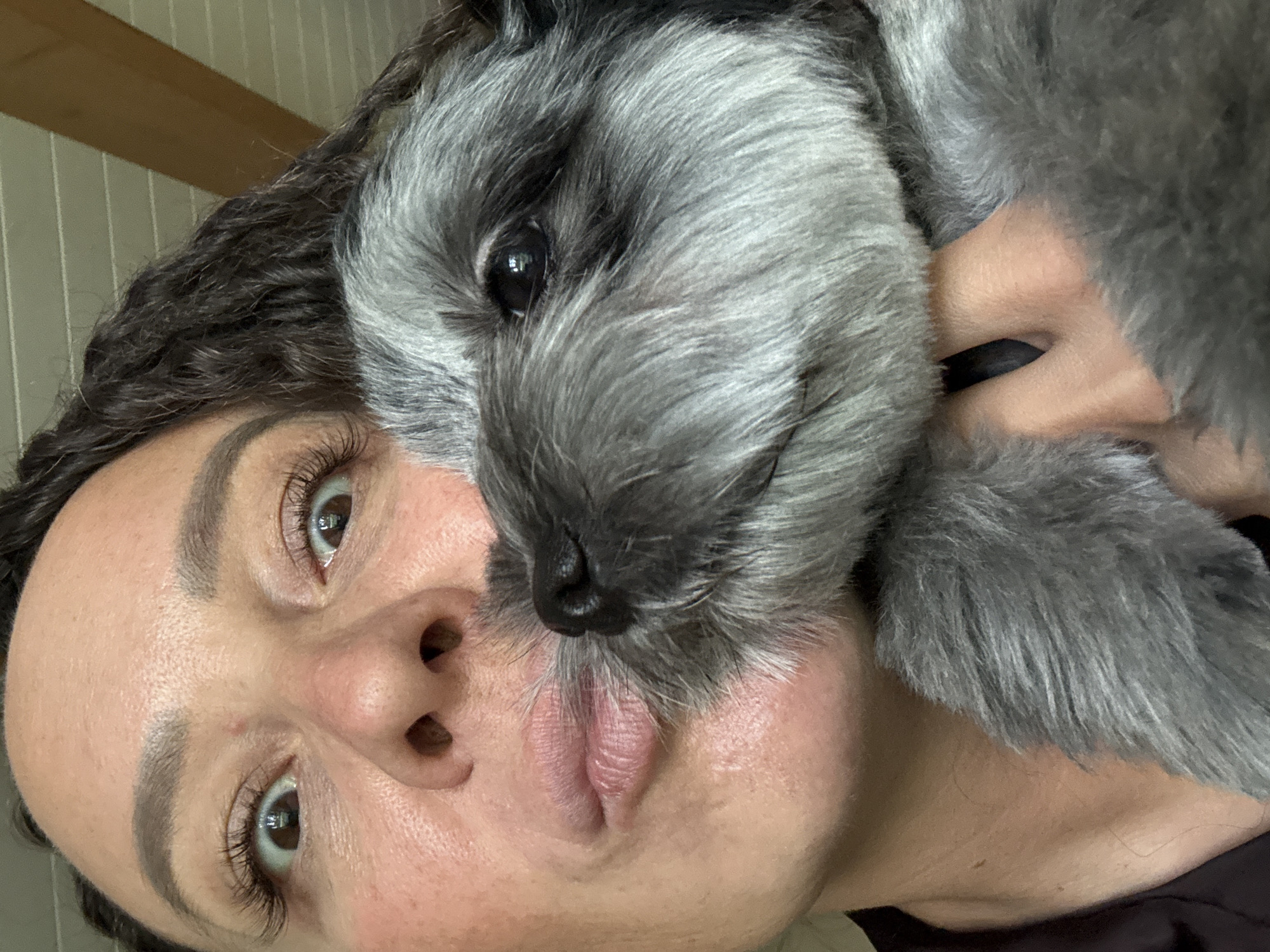 The image, captured in the city of Chaikovsky, Russia, features an adult female and a small canine engaged in close interaction. The female, positioned on the left, has a medium skin tone, visible dark curly hair on the right, and wide-open brown eyes with prominent dark eyelashes. Her lips are pursed forward in a distinct kissing gesture. The small canine, appearing to be a terrier-type breed, possesses fluffy, predominantly gray fur with darker gray and black markings, particularly around its face. Its dark, moist nose is making direct contact with the female's pursed lips. The canine's dark, reflective eyes are visible, looking slightly towards the viewer. A hand, presumably belonging to the female, is visible supporting the canine from below, partially obscured by its fur. The background reveals an indoor setting with a white, paneled ceiling featuring a diagonal wooden beam in the upper right portion of the frame.