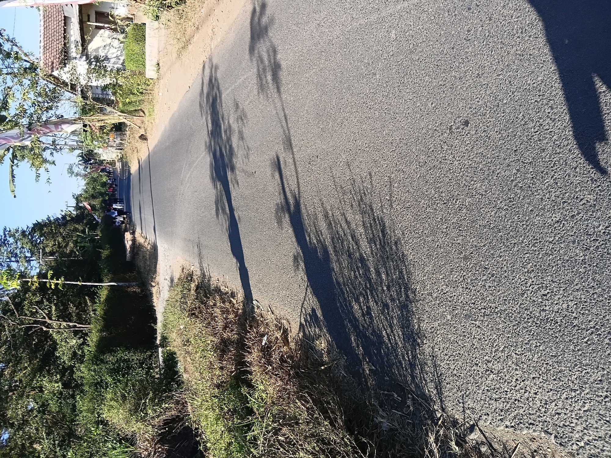 The image depicts a paved road in Tanggul Wetan, Indonesia, on a sunny day. The road surface is asphalt, with some gravel visible. On the left side of the road, there is a ditch filled with dry grass and some green vegetation. Further back on the left, there are dense green bushes and trees. On the right side of the road, a white house with a tiled roof is visible, surrounded by some vegetation and dry grass. Several flags are hanging from poles near the house. In the distance, along the road, a group of people are walking or standing, some appearing to be in casual attire. The shadows of trees are cast across the road, indicating the time of day. The overall environment suggests a rural or semi-rural setting in Indonesia.