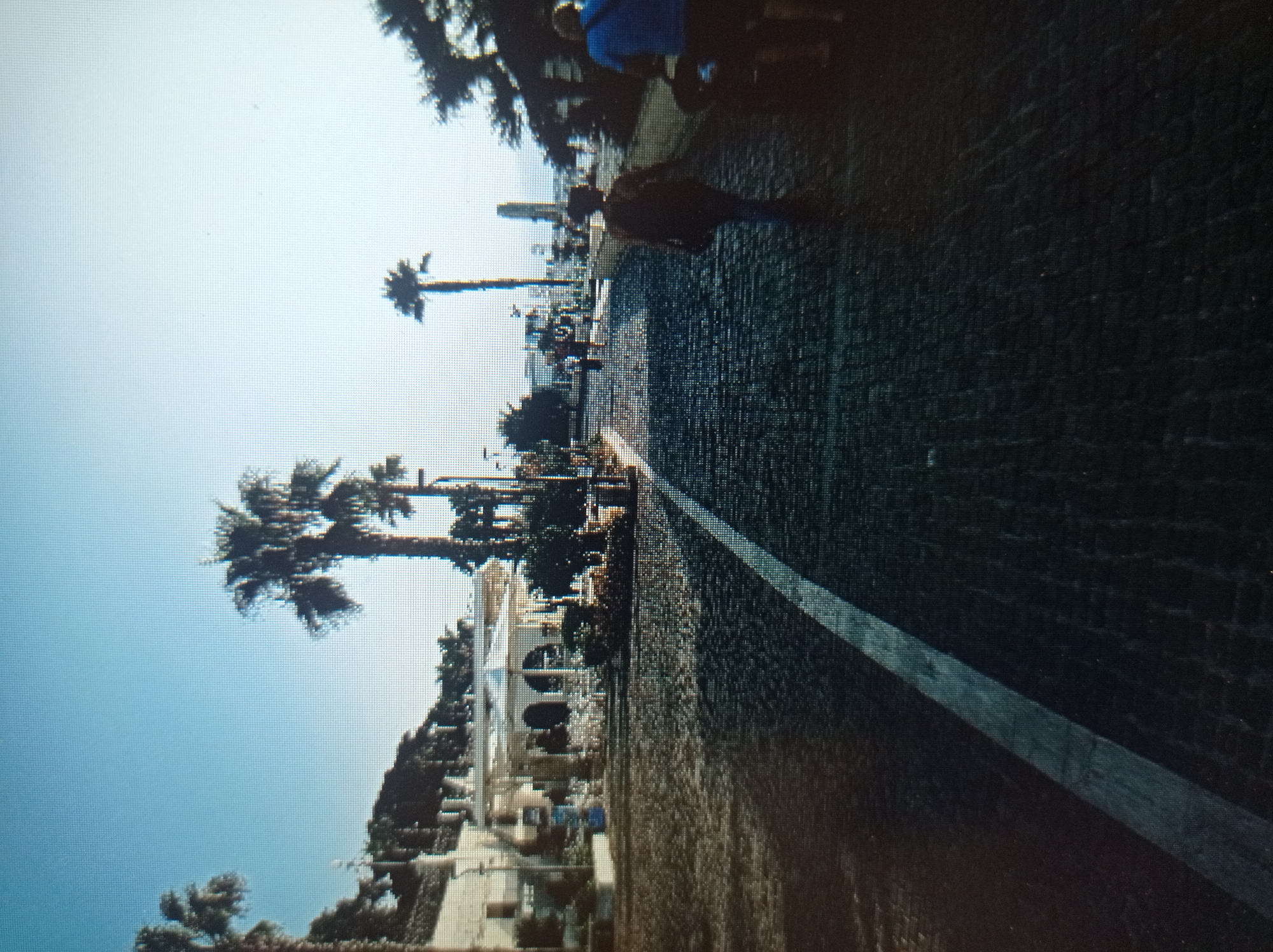 The image depicts a sunlit, paved walkway lined with palm trees, suggesting a warm climate. In the background, there is a building with arches and a white roof, possibly a restaurant or cafe. Several people are walking on the path, some with their backs to the camera. One person in the foreground appears to be wearing a blue shirt and shorts, and another a dark shirt and jeans. The ground is covered in dark cobblestones. The sky is a clear, pale blue. The overall scene suggests a pleasant outdoor environment, possibly a promenade or park.
However, this image is NOT located in Mukachevo, Ukraine. Mukachevo is a city in a temperate climate and would not typically feature palm trees or such a coastal or Mediterranean-like atmosphere. The presence of palm trees and the overall aesthetic are inconsistent with the geography and climate of Mukachevo.