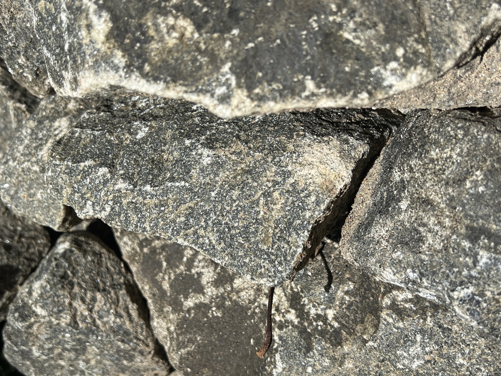 A close-up, vertical shot captures a tightly packed formation of rough, grey-toned rocks. The scene is dominated by the textured surfaces and irregular shapes of these stones, which vary in color from dark charcoal grey to lighter grey and off-white. The rocks display a distinct granular, speckled appearance, indicative of a crystalline composition, possibly granite.
Bright, direct sunlight illuminates the scene, creating stark contrasts between the brilliantly highlighted surfaces and the deep, dark shadows nestled within the numerous cracks and crevices between the stones. This play of light and shadow emphasizes the rugged texture and three-dimensional depth of the rock formation. The lighting suggests a clear, sunny day outdoors.
Towards the bottom center of the main image, and more clearly visible in one of the provided crops, a thin, dark, dried root or twig protrudes from a crevice, adding a small organic element to the otherwise stone-dominated view. No people or activities are visible, and there is no discernible text. The image focuses entirely on the natural details and composition of the rock structure, conveying a sense of solidity and raw earthiness.