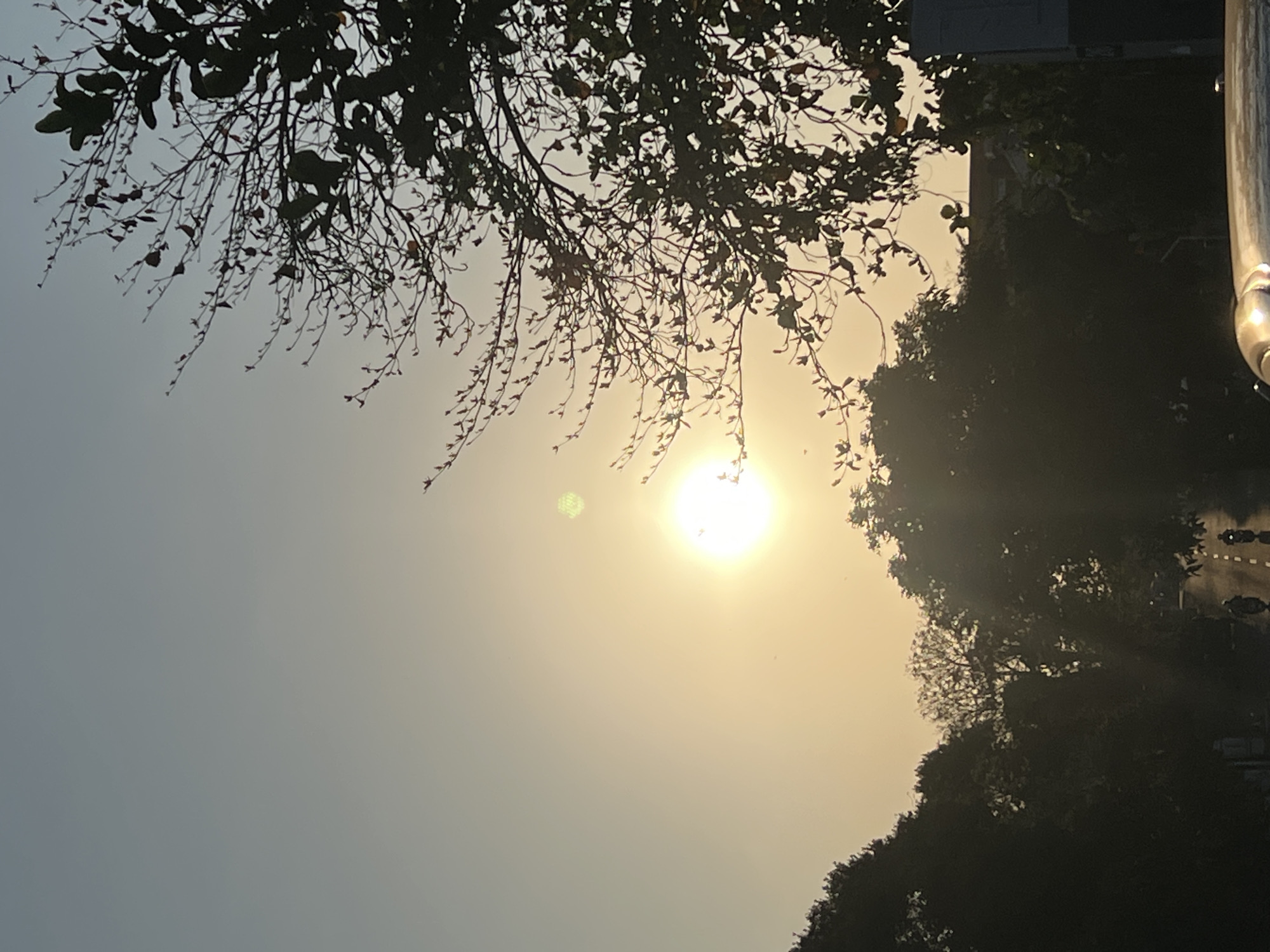 The image depicts a silhouetted tree canopy against a bright, hazy sky at sunset. The sun is a prominent feature, appearing as a large, luminous orb. In the lower portion of the image, a road is visible with two individuals on motorbikes, their forms also silhouetted. The surrounding environment appears to be urban, with hints of buildings and foliage contributing to the cityscape. The sky has a gradient of soft blues and yellows, typical of a sunset. This scene is located in Denpasar, Indonesia.