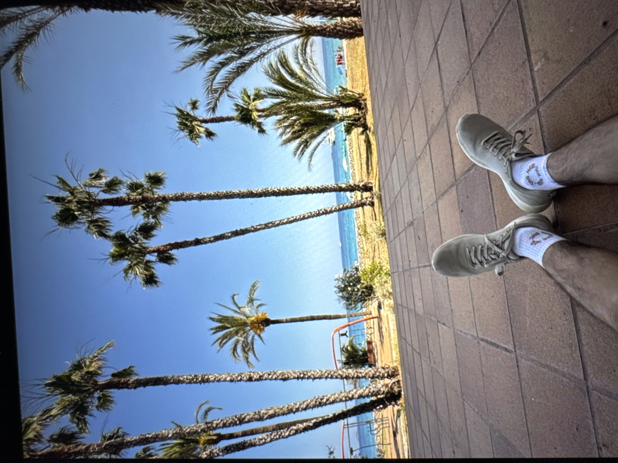 The image shows a low-angle, first-person perspective of a person's legs and feet resting on a tiled surface. The person is wearing light-colored sneakers and white socks. The background features a sunny beach scene with several palm trees, the ocean, and a clear blue sky. There are some beach umbrellas and people visible in the distance. The location is identified as being in the city of Porrentruy, Switzerland, although this scene is inconsistent with the typical geography and climate of Porrentruy, which is an inland municipality.