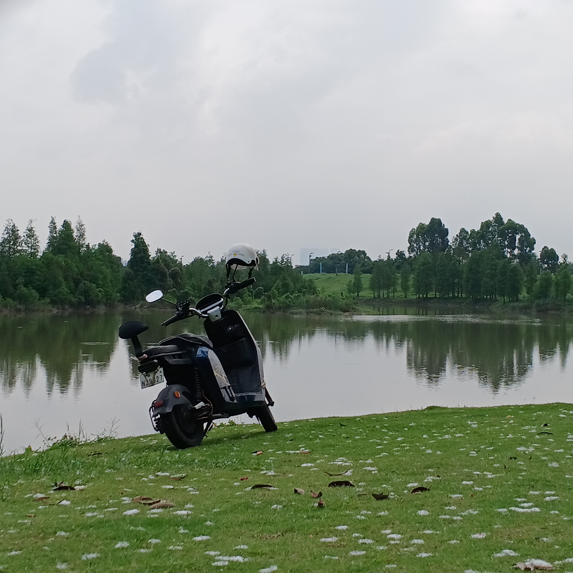A dark-colored electric scooter, with a white helmet resting on its handlebars, is parked on a lush green grassy bank next to a calm body of water. The grass is dotted with what appear to be white petals or debris. The water's surface reflects the green trees lining the opposite bank. In the distant background, faint outlines of buildings or structures can be seen above the treeline. The sky is overcast with soft, diffuse clouds, indicating a cloudy day. The scene exudes a peaceful and quiet ambiance. A license plate is visible on the rear of the scooter, displaying the characters "N A2927". This serene setting is located in Shunde District, China.