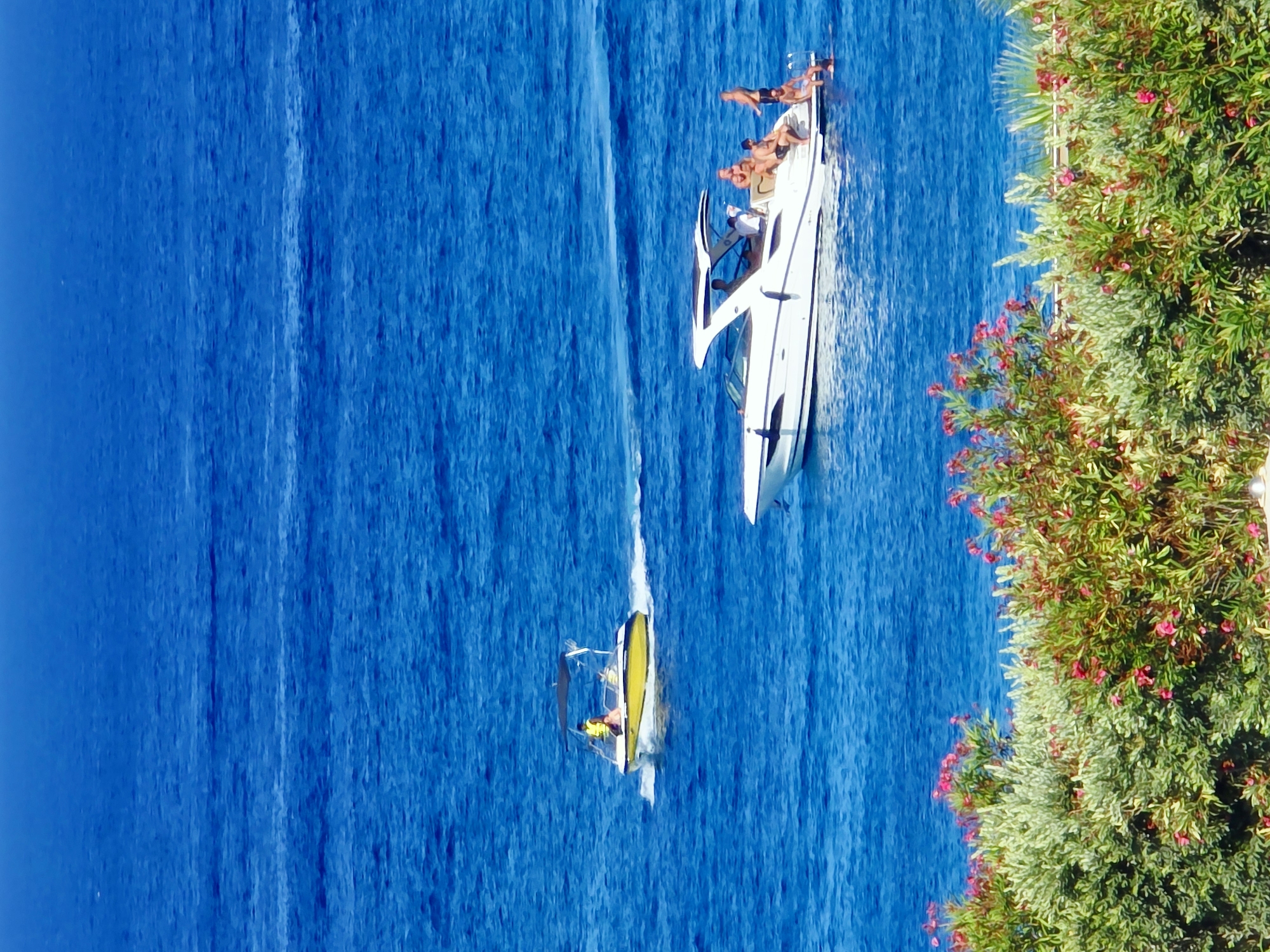 A high-angle, eye-level, full shot captures two motorboats on a bright, clear blue sea. The boat on the left is smaller and yellow, with a black canopy and three people visible. One person in a yellow vest stands at the helm, while another sits. The boat on the right is larger and white, with a dark canopy. It carries several people, some sitting on the edge of the boat and others standing. A few individuals are partially submerged in the water. In the foreground, lush green bushes with small pink flowers create a natural frame for the scene. The water is calm with some white wake visible behind the yellow boat. The scene appears to be a sunny day in a coastal area.