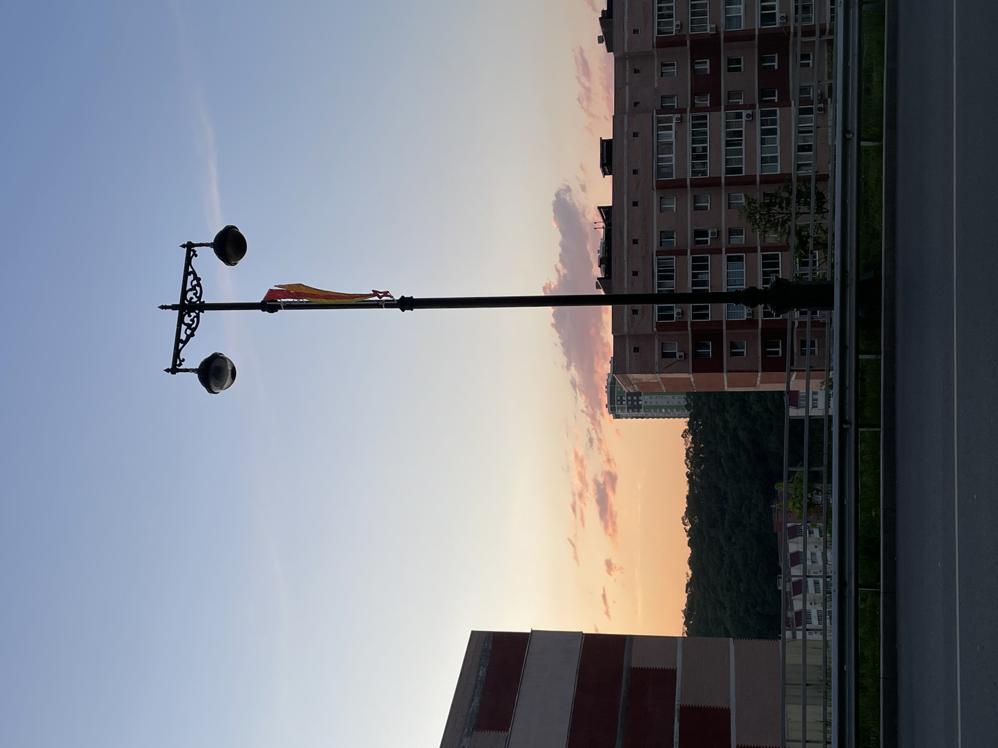 The image depicts a street scene, likely in Vladivostok, Russia, based on architectural styles. A black, ornate lamppost with two globular lamps is prominently featured, adorned with a small, colorful flag or banner. Buildings are visible in the background, including a high-rise apartment complex with multiple windows and balconies, and a lower structure with brick accents. A forested hillside rises behind the buildings. The sky transitions from a light blue to orange near the horizon, suggesting a sunset or sunrise. A gray asphalt road and green vegetation line the bottom right of the frame.