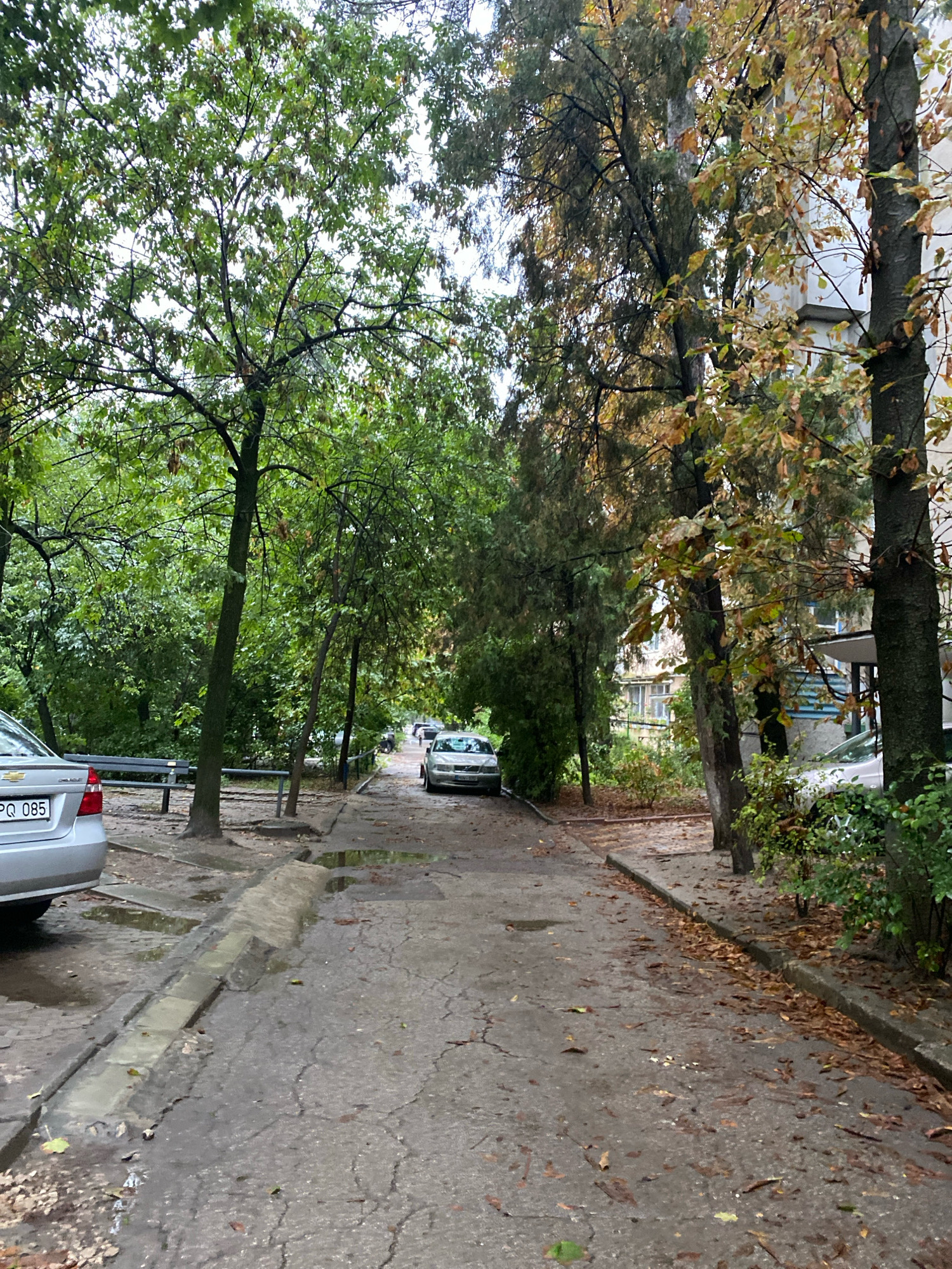 The image shows a street in a residential area of Chișinău, Moldova, with a cracked asphalt surface and puddles of water, indicating recent rain. Several trees line the street, with some showing early signs of autumn foliage. On the left, a silver car is parked, and a metal bench is visible. On the right, another silver car is parked further down the street, near a building with white siding and blue accents. The sky is overcast. The scene depicts a typical urban environment, possibly an apartment complex courtyard or a residential street.
