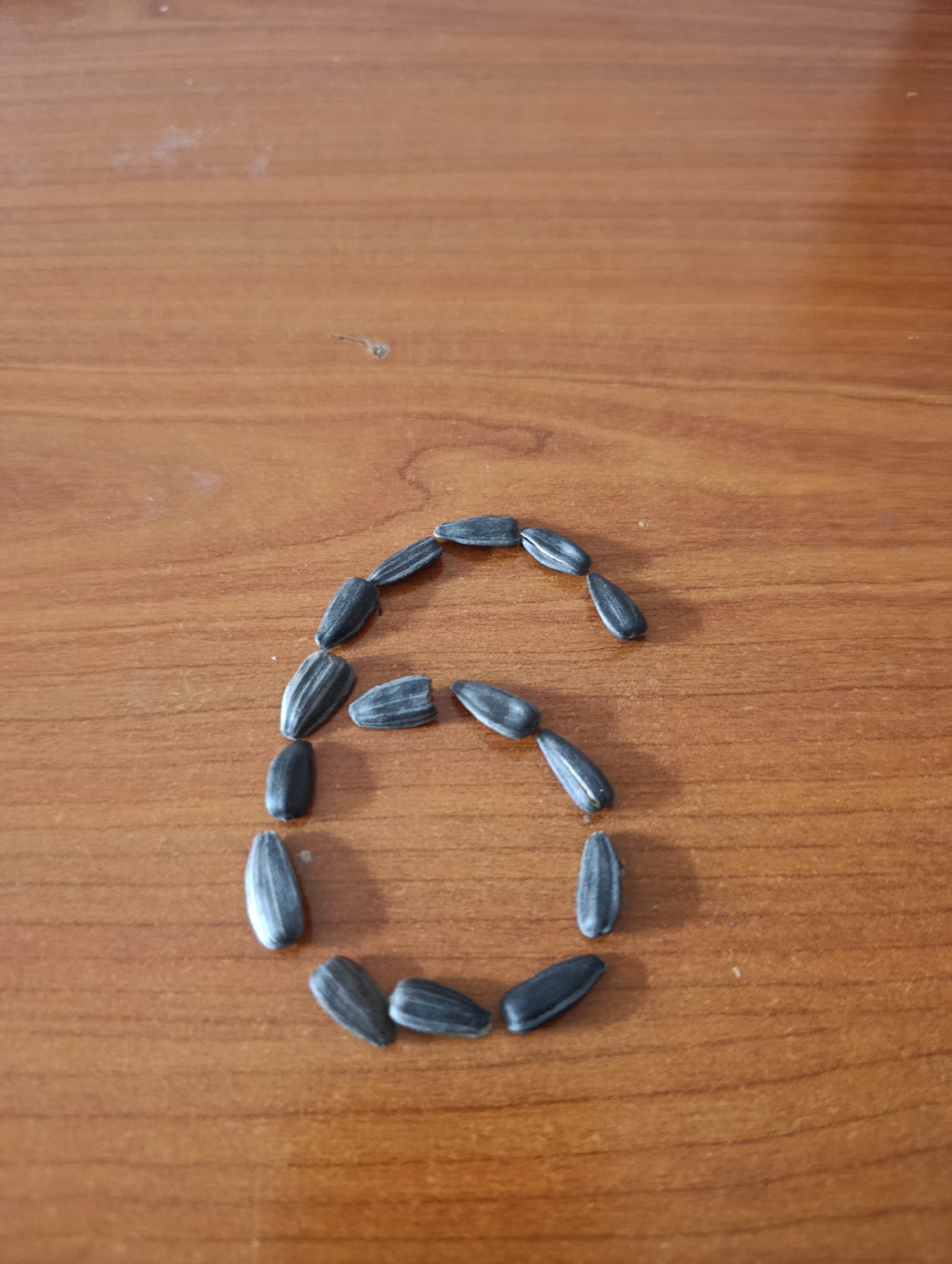 The image shows the number 6 formed by sunflower seeds on a wooden surface. The scene is indoors. The environment is a clean, brown, wooden surface. There are approximately 16 sunflower seeds. The number 6 is centered in the image. There are no people present. The image is taken in a neutral or natural light. The location within the city of Іргелі ауылдық округі, Kazakhstan, cannot be determined from the image.
