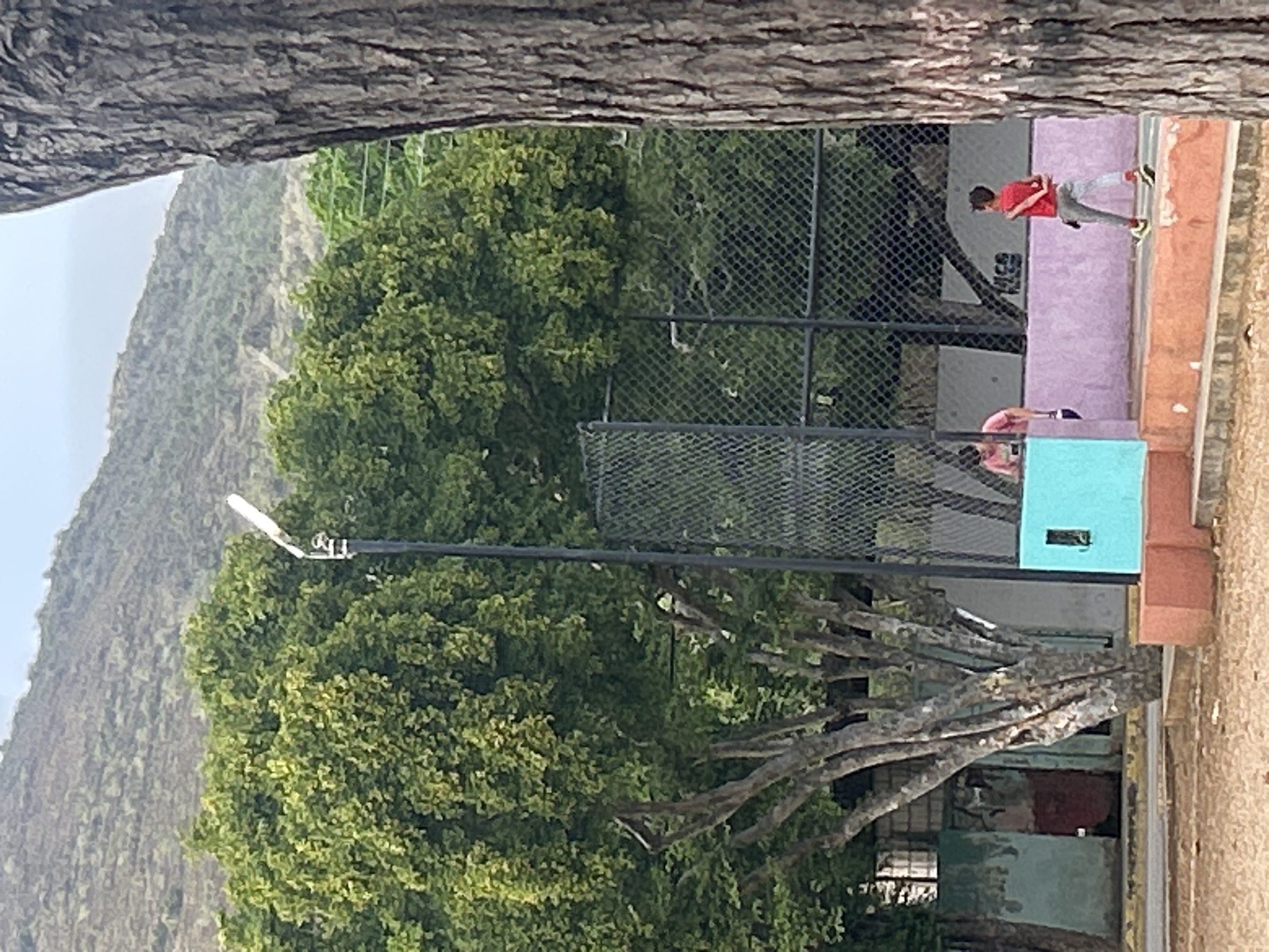The image captures an outdoor scene with a focus on a fenced recreational area, likely a basketball or volleyball court, situated in the city of Santa Ana, Venezuela. In the foreground, a large tree trunk with rough bark occupies the right side of the frame. Beyond this, a chain-link fence encloses a court with a colored boundary wall. The wall features sections painted in teal, purple, and orange. Two individuals are visible within the court area. One, a person wearing a pink shirt, is partially obscured, leaning over the teal section of the wall. The second person, a child in a red shirt and grey pants, is walking away from the teal section, towards the right side of the frame. A tall lamppost stands behind the teal wall. In the background, lush green trees with dense foliage are prominent, and further behind them, a barren, rugged hillside rises under a hazy sky. The ground in the immediate foreground appears to be sandy or dirt.