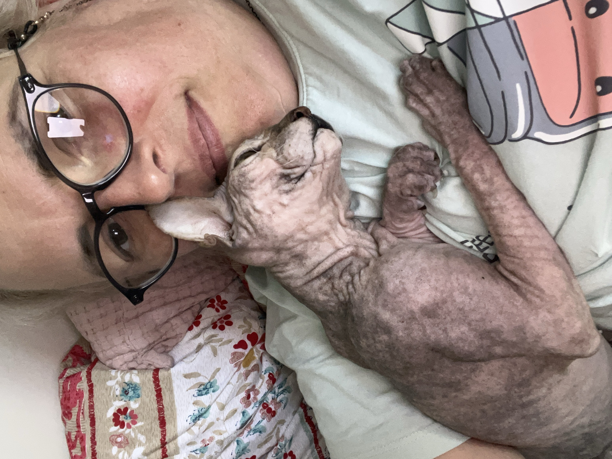 This is a close-up, eye-level selfie taken from a horizontal perspective. The frame features a woman wearing glasses, lying in bed with a Sphynx cat nestled against her chest. The woman has light-colored hair, and her face is partially obscured by her glasses. The cat, a hairless breed, is curled up and appears relaxed. They are both lying on a light blue t-shirt with a cartoon graphic of a jar of pink liquid. The background includes floral patterned bedding and a pink textured blanket. The image is taken indoors, suggesting a domestic setting. The location of this image is not specified in the metadata.