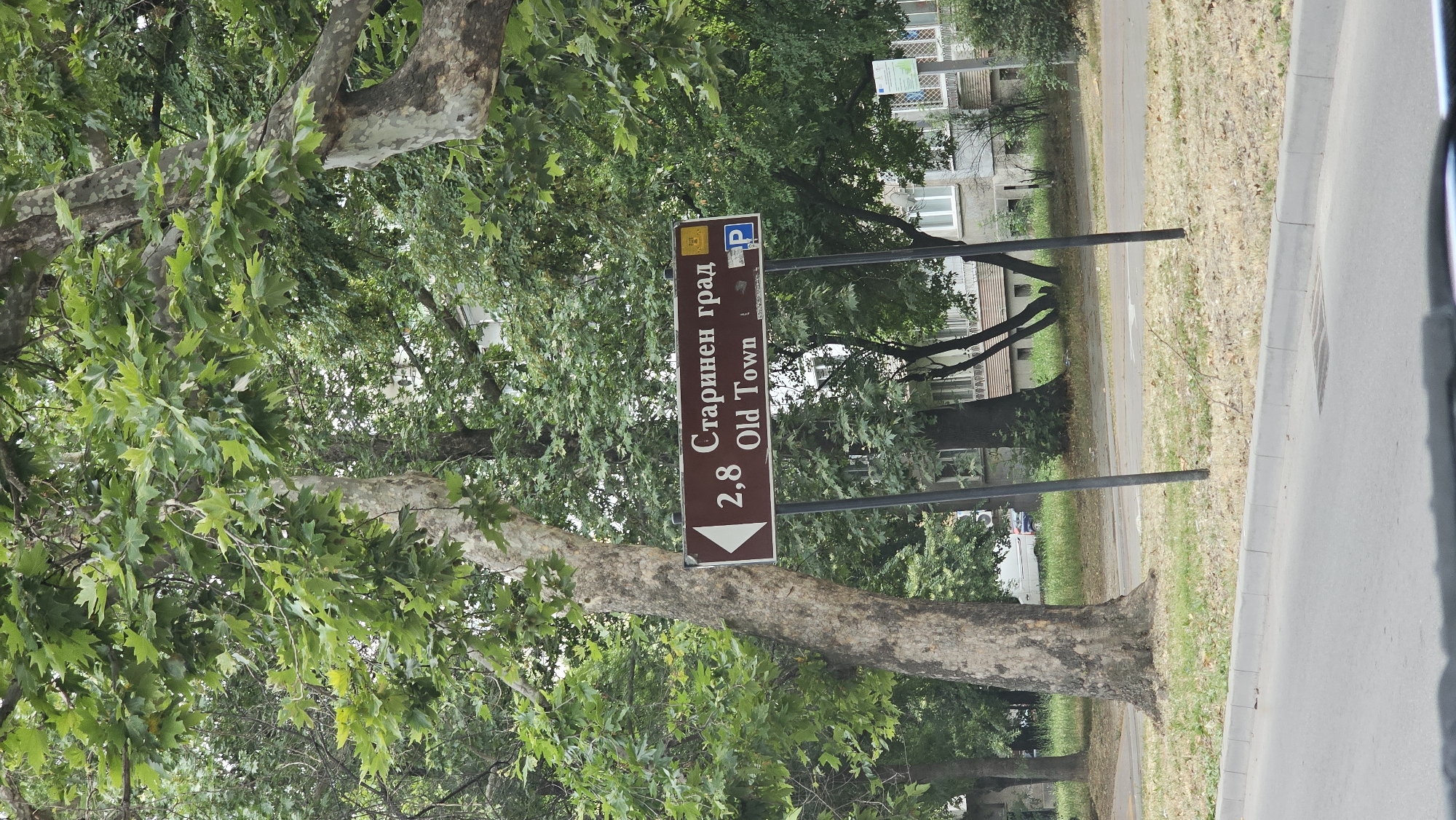 The image shows a street sign in Plovdiv, Bulgaria, indicating "2,8 Old Town" with an arrow pointing left and "Старинен град" in Bulgarian. The sign is mounted on two poles and is partially obscured by foliage from large trees. The background features buildings and more trees. The environment appears to be an urban setting, likely near a historical district.