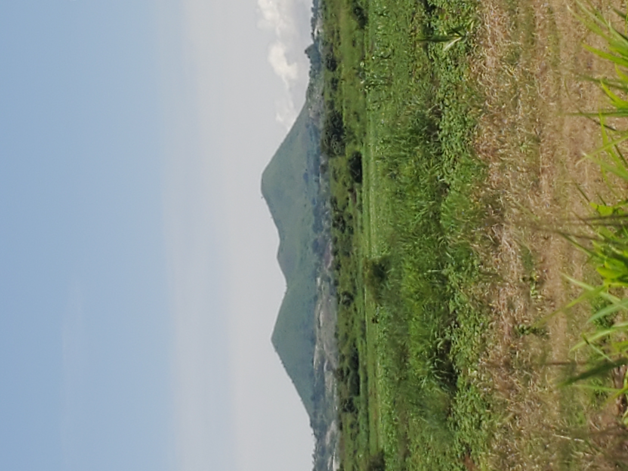 The image displays a wide shot of a landscape with two prominent green hills in the background. In the foreground, there is a field of green vegetation, with some dry, brown grass interspersed. The sky above is a light blue with some wispy clouds. The hills appear to be covered in grass or low vegetation, and their slopes are gently rounded. The overall scene suggests a rural or natural setting. Without further information, it is not possible to determine the specific location within Kerang, Nigeria, or to identify any people, actions, or interactions.