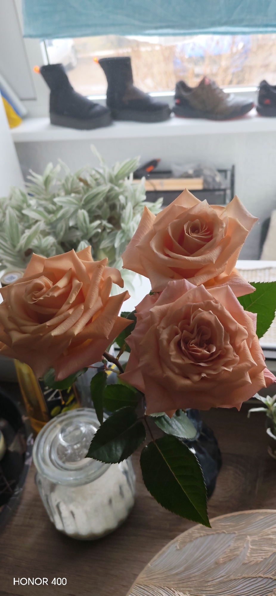 The image shows a bouquet of three peach-colored roses in a vase on a wooden surface. Behind the roses, there is another plant with green and white variegated leaves. In the background, a windowsill is visible with several pairs of shoes lined up, including black boots and brown sneakers. The light suggests the photo was taken during the day. The location mentioned, Noviy, Russia, is not explicitly visible in the image but is stated as the location of the image.