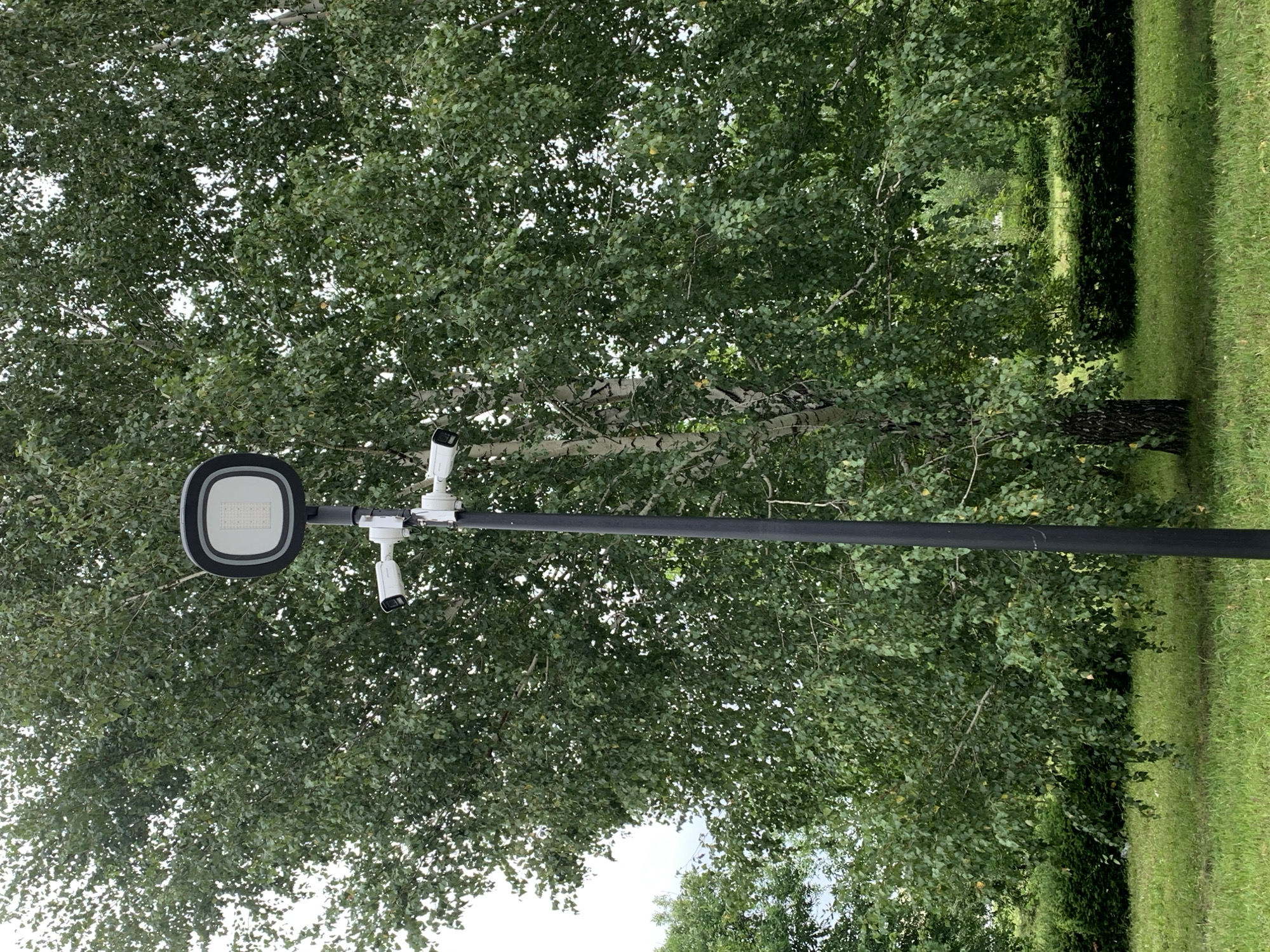 A black lamppost stands in a grassy area with lush green trees and bushes behind it. Atop the lamppost is a large, rectangular LED light fixture. Below the light are three white security cameras. One camera is positioned horizontally and slightly to the left, while two more are mounted side-by-side, facing forward. The lamppost is located on a lawn in the city of Prokopyevsk, Russia.