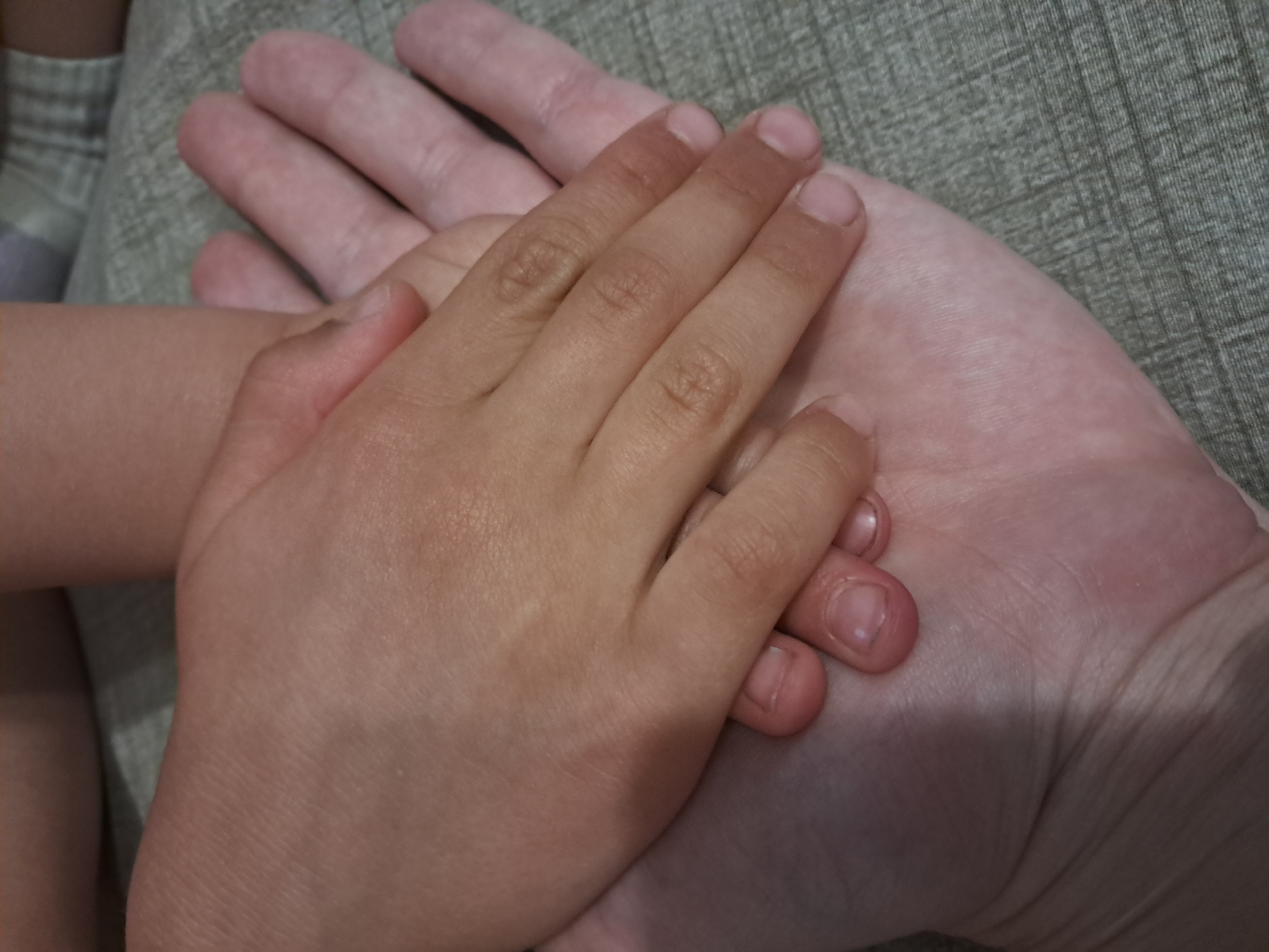 In a close-up, overhead shot, an adult's hand rests palm-up on a textured, grey surface, possibly a sofa or carpet. A child's hand is placed on top of the adult's, with fingers overlapping and gently resting on the adult's fingers. The skin tones suggest a Caucasian adult and a child of potentially mixed ethnicity. The lighting is soft, casting subtle shadows that highlight the textures of the skin and the surface. The scene is devoid of any specific landmarks or context that would indicate a location within a city.