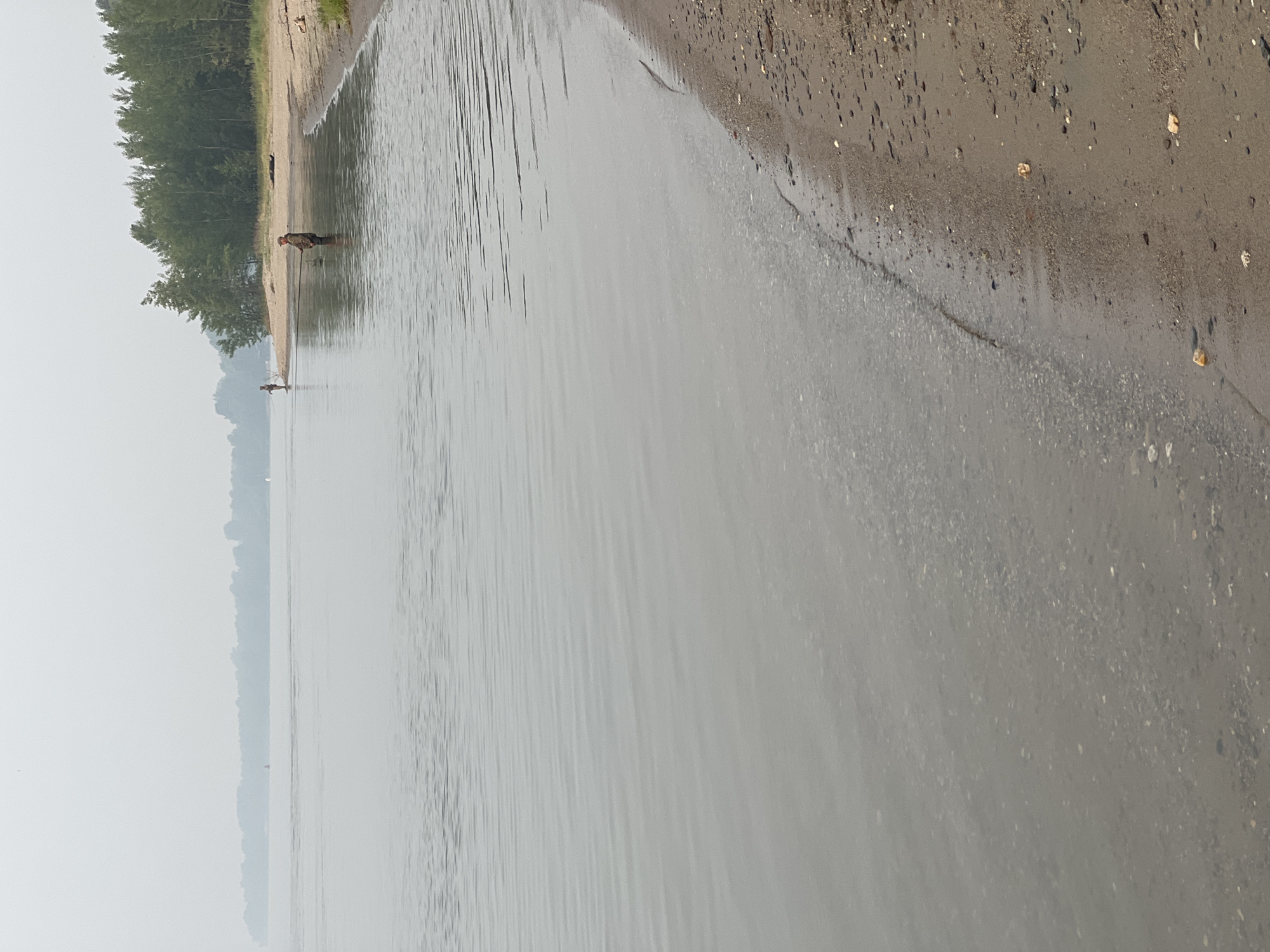 The image depicts a serene riverbank scene, possibly near Mochishche, Russia. The water is calm, with a gentle ripple on the surface. The foreground shows a sandy shore littered with small pebbles and a few larger rocks. The water's edge is clearly defined, with shallow water revealing the submerged pebbles. Further back, two individuals are visible fishing in the river, each holding a fishing rod. One person is standing in the water, while the other is on the sandy bank. A dense line of trees forms the backdrop, suggesting a natural, undeveloped area. The sky is overcast, contributing to a muted and diffused light. The overall atmosphere is one of quiet contemplation and outdoor recreation.