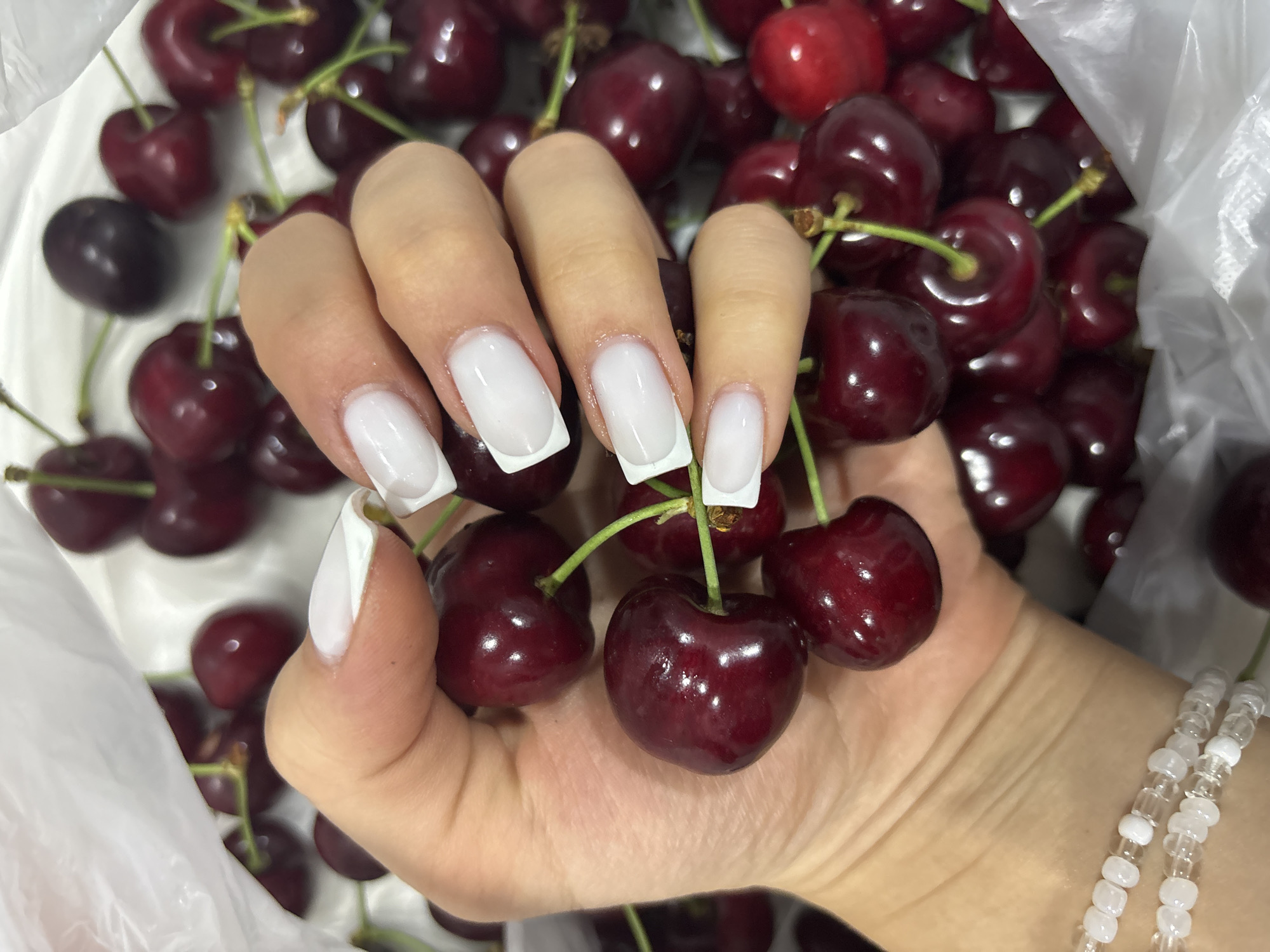 A close-up, overhead shot shows a person's hand with white-tipped nails holding a pile of dark red cherries. The cherries are clustered in a white bag. The image is taken indoors, with soft lighting. There is no discernible location in the city of Shumen, Bulgaria.