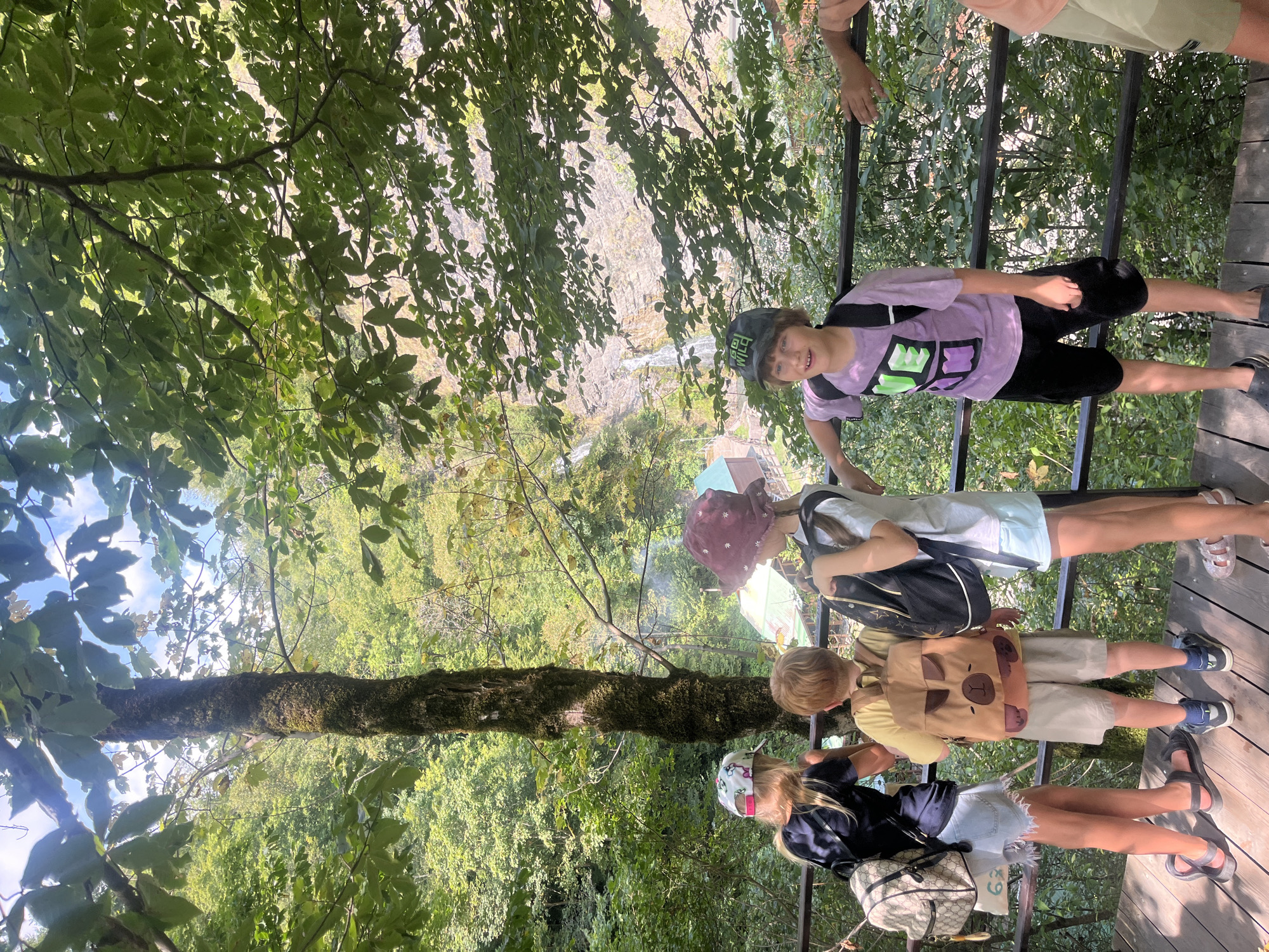 The image depicts a group of four children standing on a wooden platform overlooking a natural landscape. In the background, a waterfall cascades down a rocky mountainside, with some buildings visible near its base. The children are facing away from the camera, with three of them in the foreground and one to the right, partially visible.
The child on the far left is a girl wearing a black t-shirt, denim shorts, and a multi-colored baseball cap. She has a light-colored backpack with a Gucci pattern slung over her left shoulder.
Next to her is a boy wearing a yellow t-shirt and light-colored shorts, carrying a brown backpack with a llama design.
The third child from the left is a girl wearing a white t-shirt, light-colored shorts, and a burgundy bucket hat. She has a black backpack.
To the right, a boy in a purple t-shirt with green and purple lettering, black shorts, and a green baseball cap with lettering is leaning on a railing. A portion of a fifth person's arm and shoulder, wearing a peach-colored shirt, is visible on the far right.
The environment is lush and green, with dense foliage covering the trees and surrounding hills. The sky is visible through the leaves above, with some sunlight filtering through, creating dappled lighting. The wooden platform appears to be a viewing area or walkway. The context suggests this location is likely within the city of Bolshoy Sochi, Russia, possibly a park or natural reserve with scenic views and attractions like waterfalls.