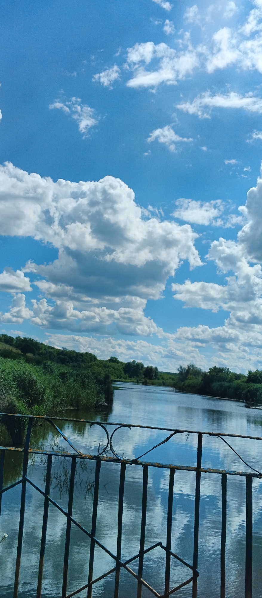 The image depicts a serene river landscape under a bright blue sky filled with fluffy white clouds. A dark, metal railing, likely from a bridge, occupies the foreground, partially obscuring the view of the water. The river itself is calm, reflecting the sky and the lush green vegetation lining its banks. The banks are densely covered with reeds and trees, creating a natural, untouched feel. The overall scene is one of natural beauty and tranquility, possibly taken from a vantage point on a bridge overlooking the river. The location is identified as Ternivka, Ukraine.