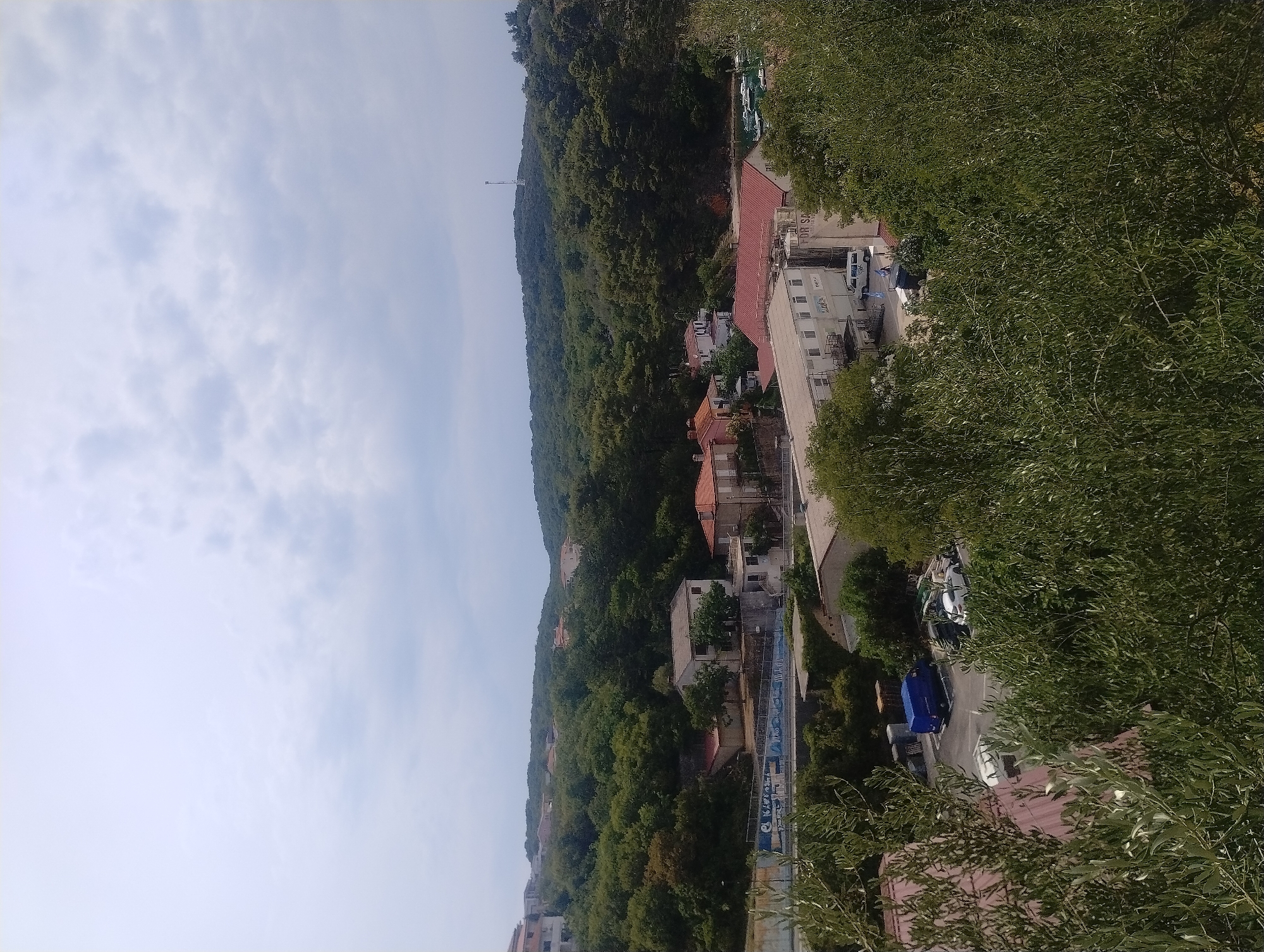 The image depicts an aerial view of a suburban area with dense green foliage covering rolling hills. In the foreground, olive tree branches with green leaves are visible, framing the scene. Below the trees, several buildings are scattered across the landscape, some with red tiled roofs and others with white or grey facades. One building features a sign that reads "FOR SA". There are multiple parked vehicles in what appears to be a parking lot, including a white van and a blue van. In the background, a hill is topped with a communication tower. The sky is overcast with diffused clouds. The scene is likely in Općina Vrbnik, Croatia, given the architecture and lush vegetation.