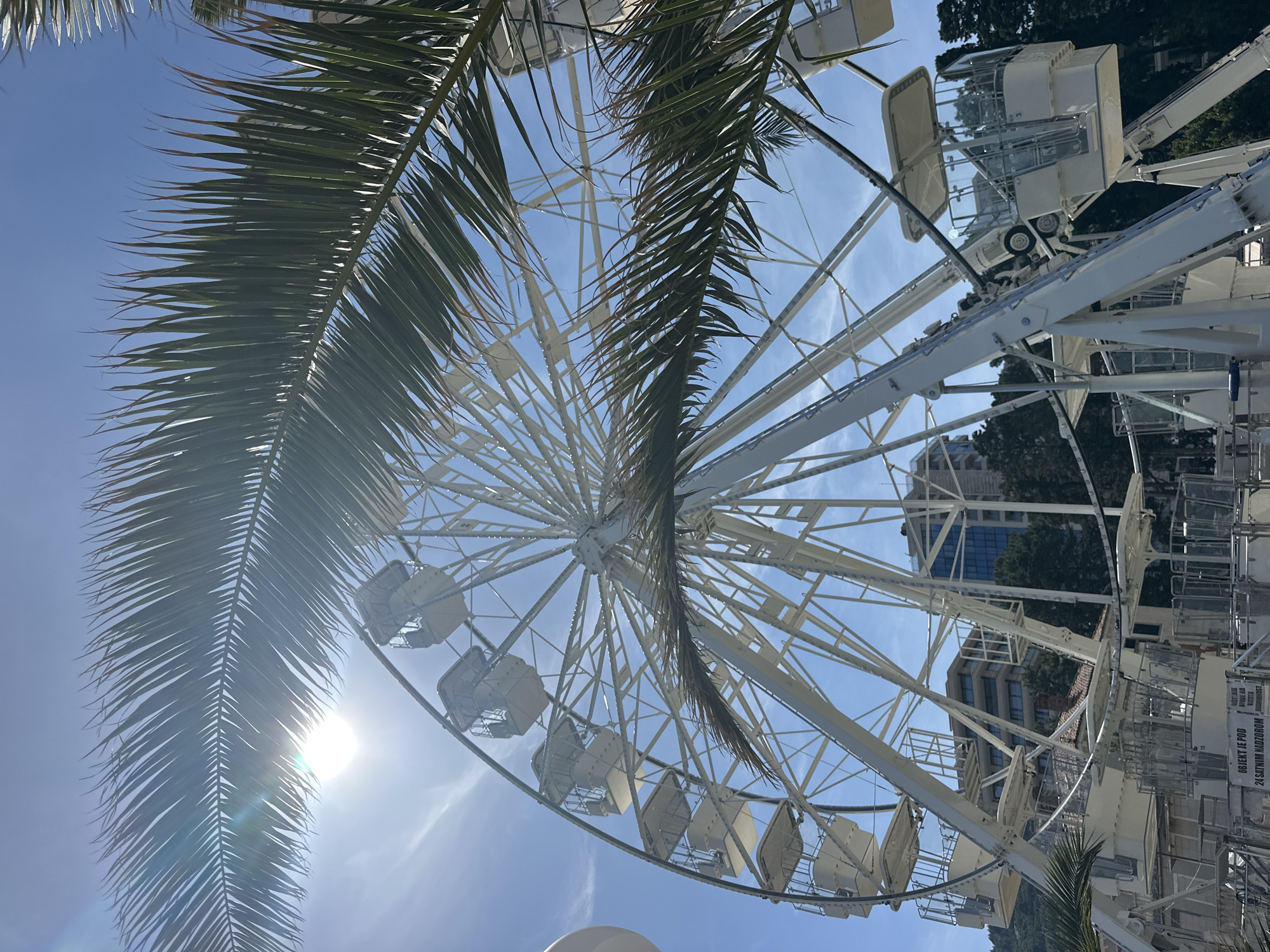 The image features a white Ferris wheel against a clear blue sky with wispy clouds. A palm tree frond partially obscures the view of the Ferris wheel and the sun, creating a lens flare effect. In the background, buildings are visible, suggesting an urban setting. The location is in the city of Budva, Montenegro, based on the presence of a Ferris wheel which is a known attraction in this city. The gondolas of the Ferris wheel are white, matching the overall structure. The photograph is taken from a low angle, looking upwards towards the Ferris wheel and the sky.