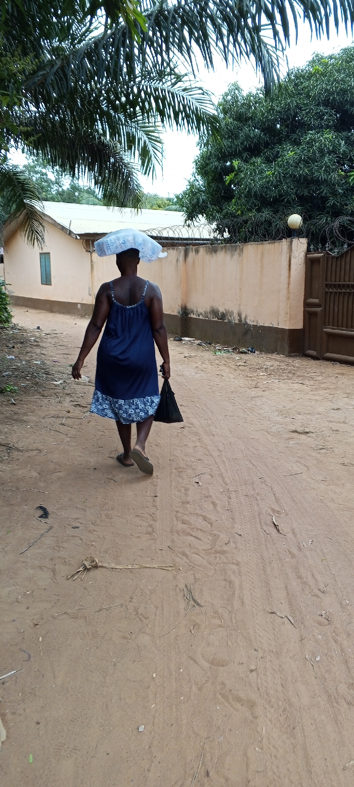 The image captures an outdoor scene in Dzodze, Ghana. An adult female, viewed from behind, is walking away from the camera on an untarred, sandy path. She wears a dark blue sleeveless dress with a white and blue patterned lower hem and light-colored flip-flops. A light-colored, possibly translucent, bundled object is balanced on her head, and she carries a black bag in her left hand. The ground exhibits visible tire tracks, scattered dry leaves, and small debris.
To the left of the path, a single-story building with a light beige wall, a small rectangular brown window, and a corrugated metal roof is partially visible. To the right, a long, light beige concrete wall with a darker brown base runs parallel to the path. This wall is topped with multiple strands of razor wire. A tall, double-leaf, dark brown metal gate is integrated into the wall, and a spherical, light-colored outdoor lamp is mounted on the wall near the gate. Overhead, large palm fronds are prominent in the upper left, while dense green foliage from other trees is visible above the wall to the right against an overcast sky.