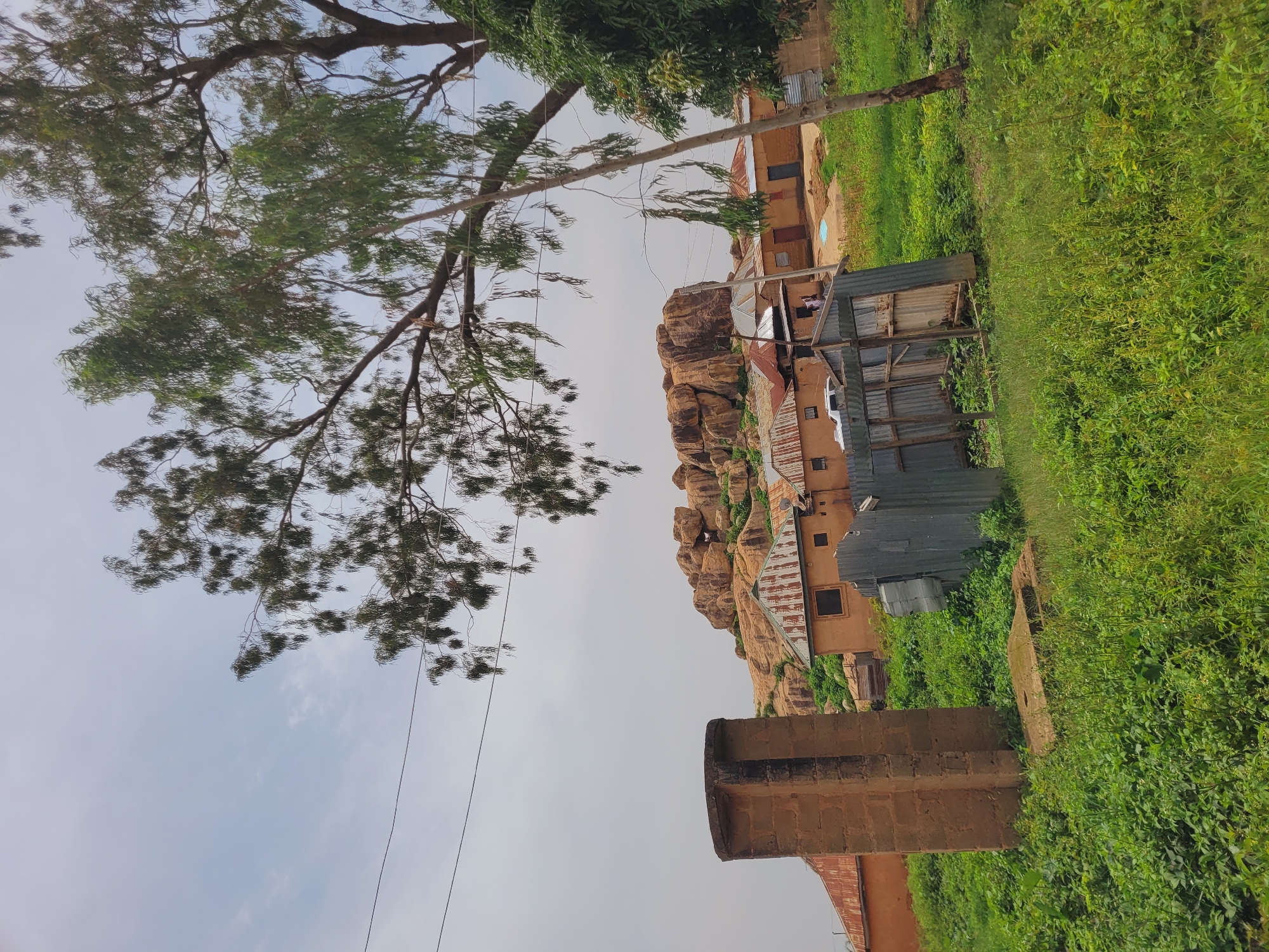 The image depicts a rural village scene in Bukuru, Nigeria, characterized by a cluster of small, traditional mud-brick houses with corrugated iron roofs situated at the base of a rocky hill. The vegetation is dense and green, with tall grass and trees dominating the foreground and surrounding landscape.
In the foreground, a large, weathered brick structure, possibly a water tower or a historical monument, stands prominently to the left. Adjacent to it, a makeshift shelter constructed from corrugated metal sheeting and wooden planks is visible, partially weathered and in disrepair. The ground is covered in lush green grass and various wild plants, suggesting an unkempt or natural environment.
In the mid-ground, several houses with terracotta-colored walls and rust-colored corrugated roofs are arranged along a dirt path. Some windows and doorways are visible, and in one instance, a white vehicle is parked outside a house. The houses appear to be simple, single-story structures.
The background is dominated by a prominent rocky outcrop, a defining geographical feature of the landscape. The hill is sparsely vegetated with small shrubs and grasses. Power lines stretch across the upper portion of the image, indicating the presence of electricity in the area. The sky is overcast with a pale gray hue, suggesting a cloudy or hazy day.
There are a few figures visible in the image, two people are walking near the houses. The overall impression is one of a modest, rural settlement nestled within a natural, somewhat rugged environment.