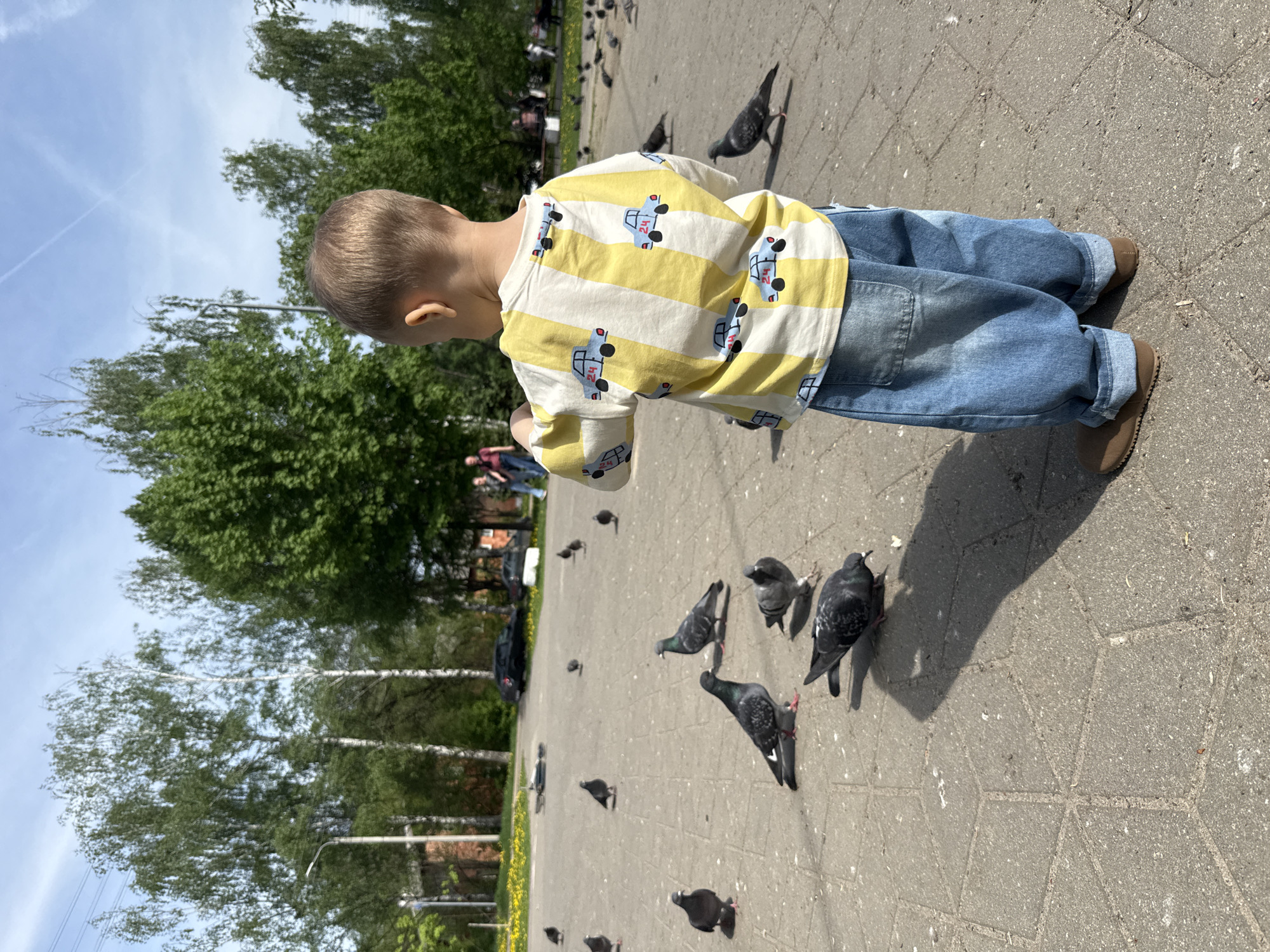 A young child wearing a yellow and white striped shirt with blue car patterns and blue jeans is standing on a paved area, possibly a park or public square, surrounded by pigeons. The child appears to be interacting with or feeding the pigeons. The location is in the city of Unknown, Unknown. In the background, there are trees, grass, and possibly other people seated on benches. The sky is visible, and it appears to be a sunny day.