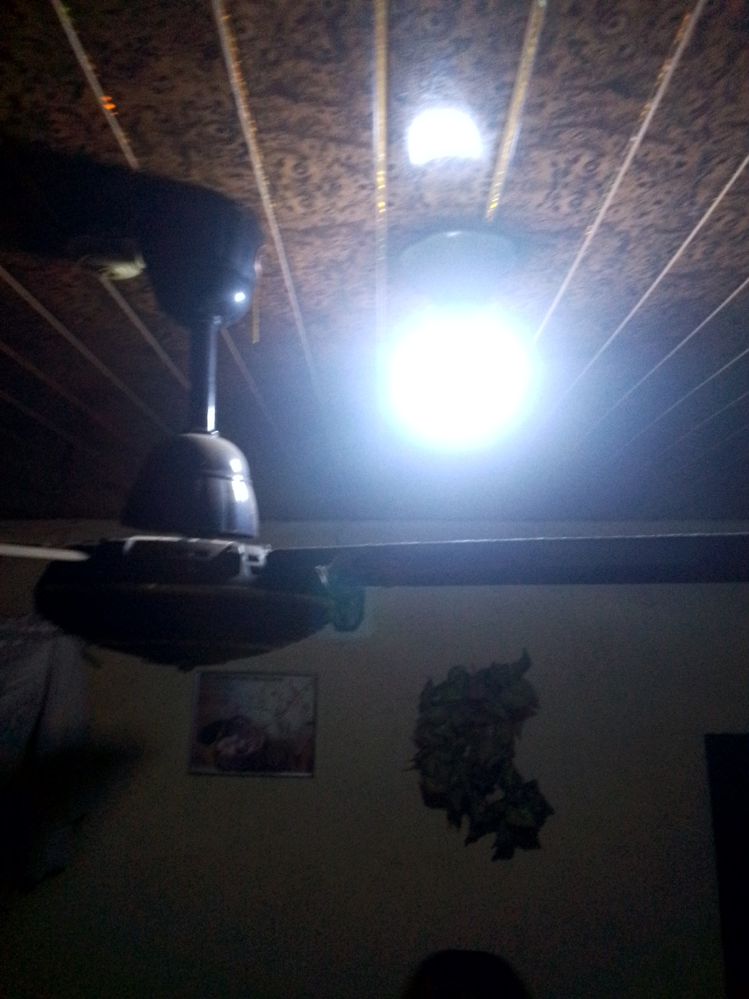 The image depicts the interior of a room, likely a residence, in Nkpor, Nigeria. The ceiling, covered with patterned linoleum tiles, is prominently visible. A ceiling fan, partially obscured by its own shadow and the bright glare of a light fixture, hangs from the center of the room. The light fixture itself emits a strong, white glow, washing out much of the detail in its immediate vicinity. Below the fan, a framed picture hangs on a plain, textured wall. To the right of the picture, a cluster of artificial greenery is attached to the wall. The overall lighting suggests a dim environment, with the main light source being the ceiling fixture. The presence of a ceiling fan, the type of ceiling finish, and the wall decorations are common in Nigerian homes.