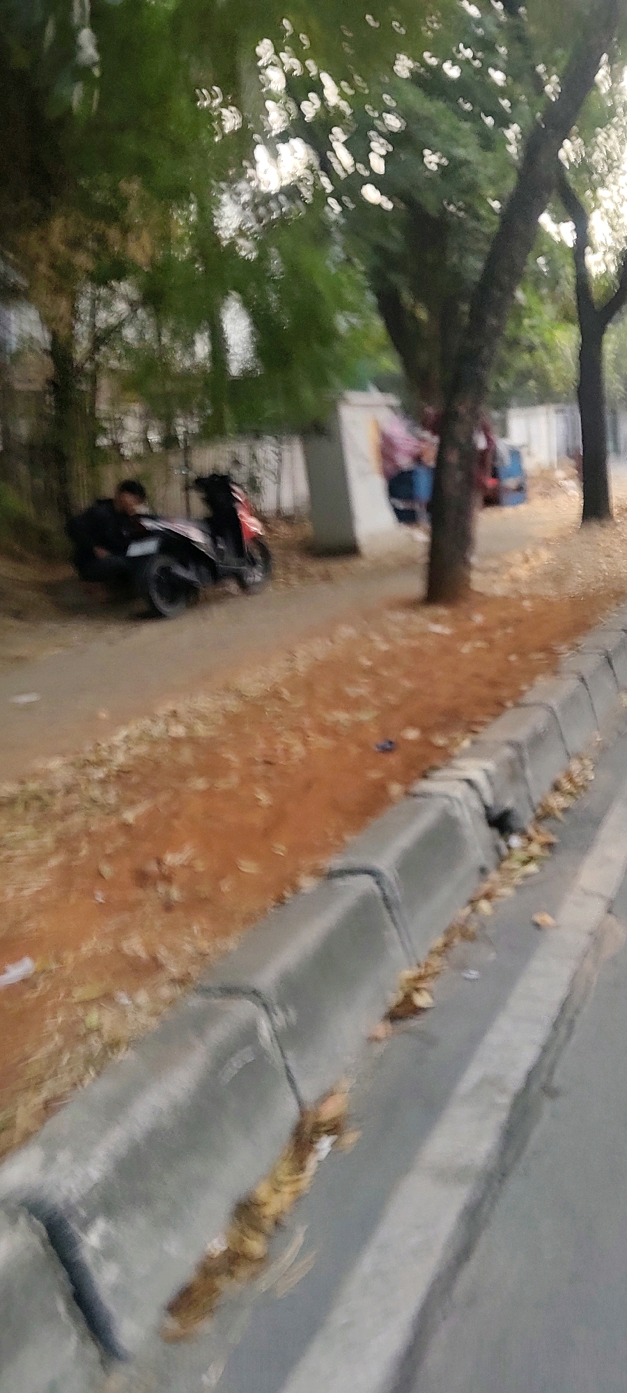 In Mekarmukti, Indonesia, a person is crouched beside a red and black motorcycle parked on a dirt path adjacent to a road. The ground is covered with fallen leaves, and trees line the background. A concrete curb separates the path from the road. The image is blurry, suggesting it was taken in low light or with a shaky hand.