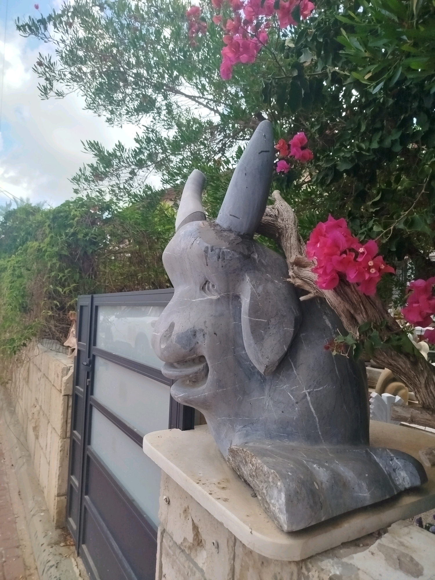 In the city of Ashkelon, Israel, a stone sculpture resembling a bull's head with one horn is positioned outdoors. The sculpture is dark gray and rests on a stone pedestal. It is adorned with a piece of dead wood and vibrant pink bougainvillea flowers. Behind the sculpture, a dark metal gate with frosted glass panels is visible, set against a textured stone wall. Lush green foliage, including a tree with dense leaves and other plants, forms the backdrop. The sky above is partly cloudy.